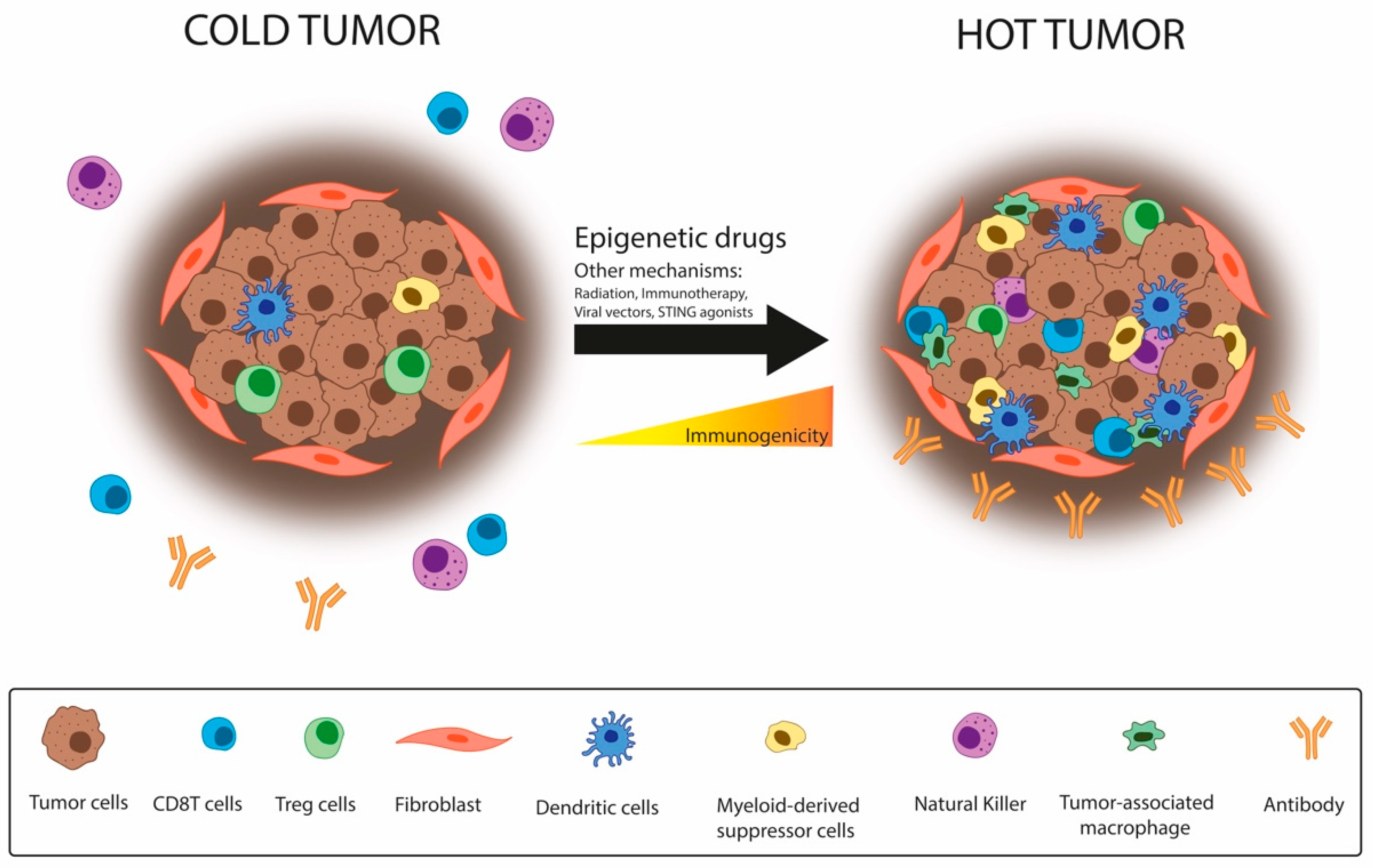 Cancers 13 04139 g004
