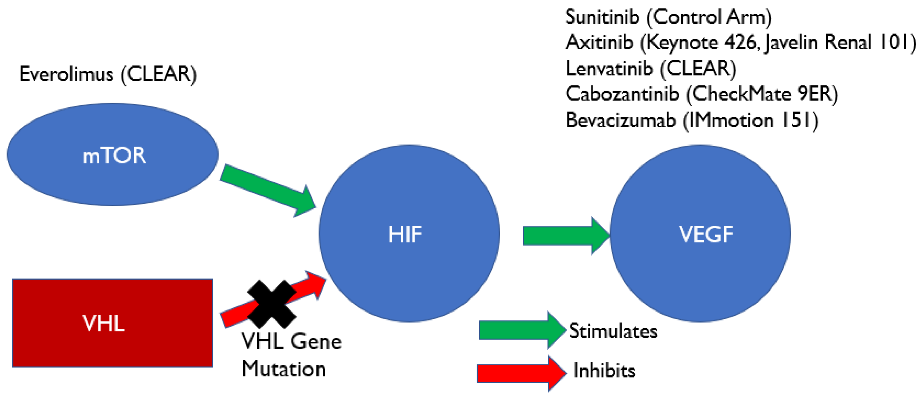 Cancers 13 04140 g002