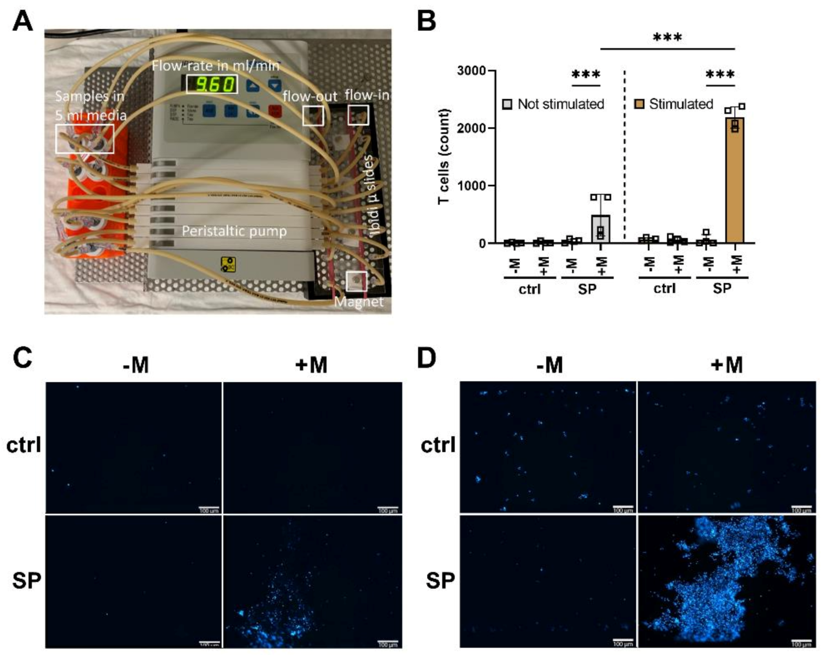 Cancers 13 04143 g005