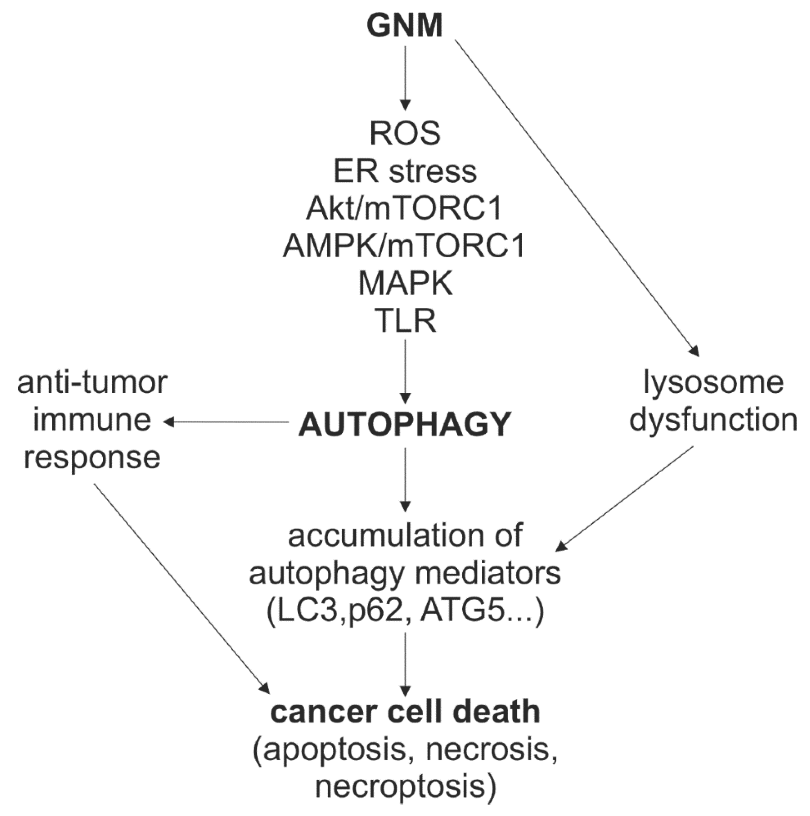 Cancers 13 04145 g004 Cancers 13 04145 g004