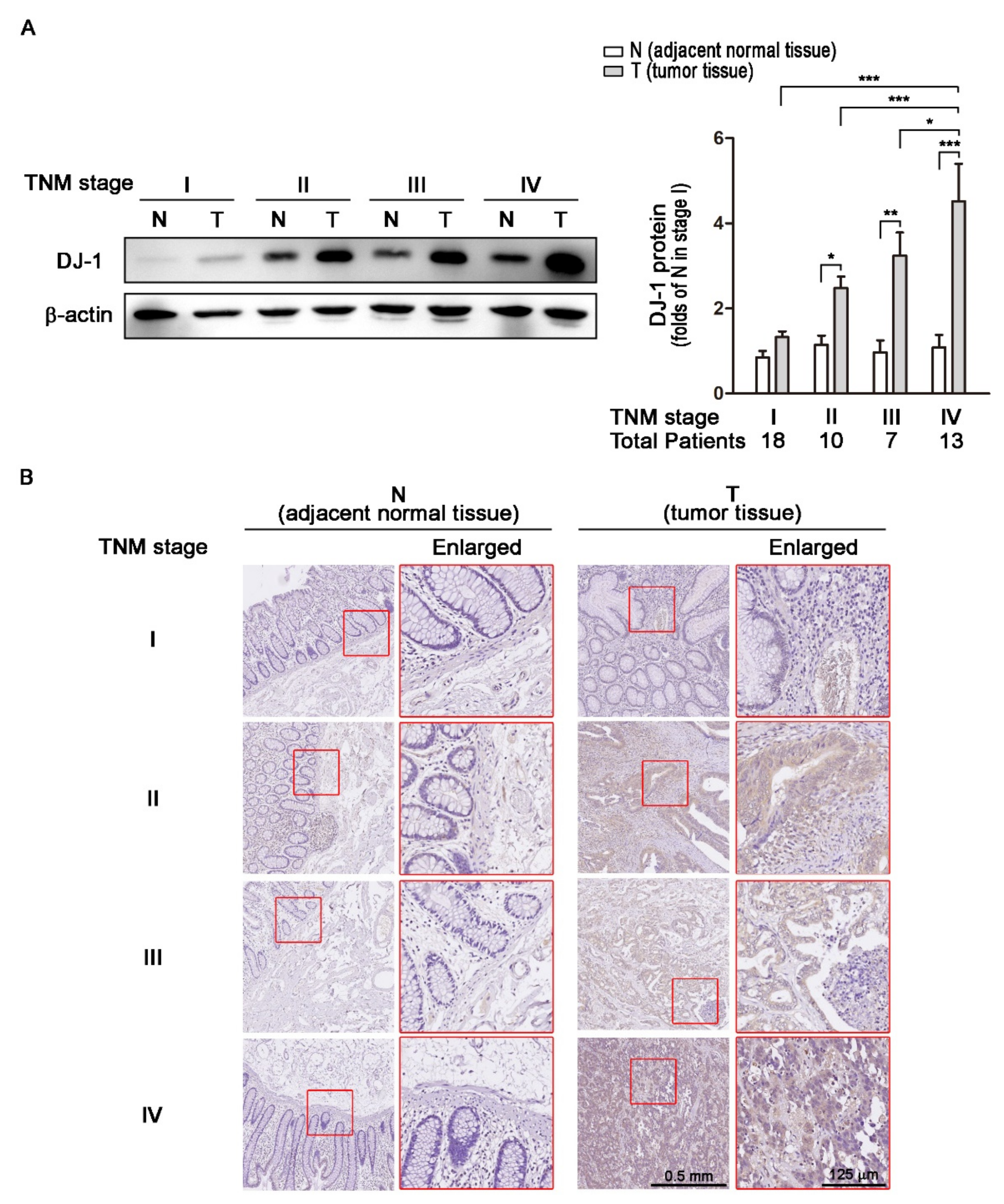 Cancers 13 04151 g002 550