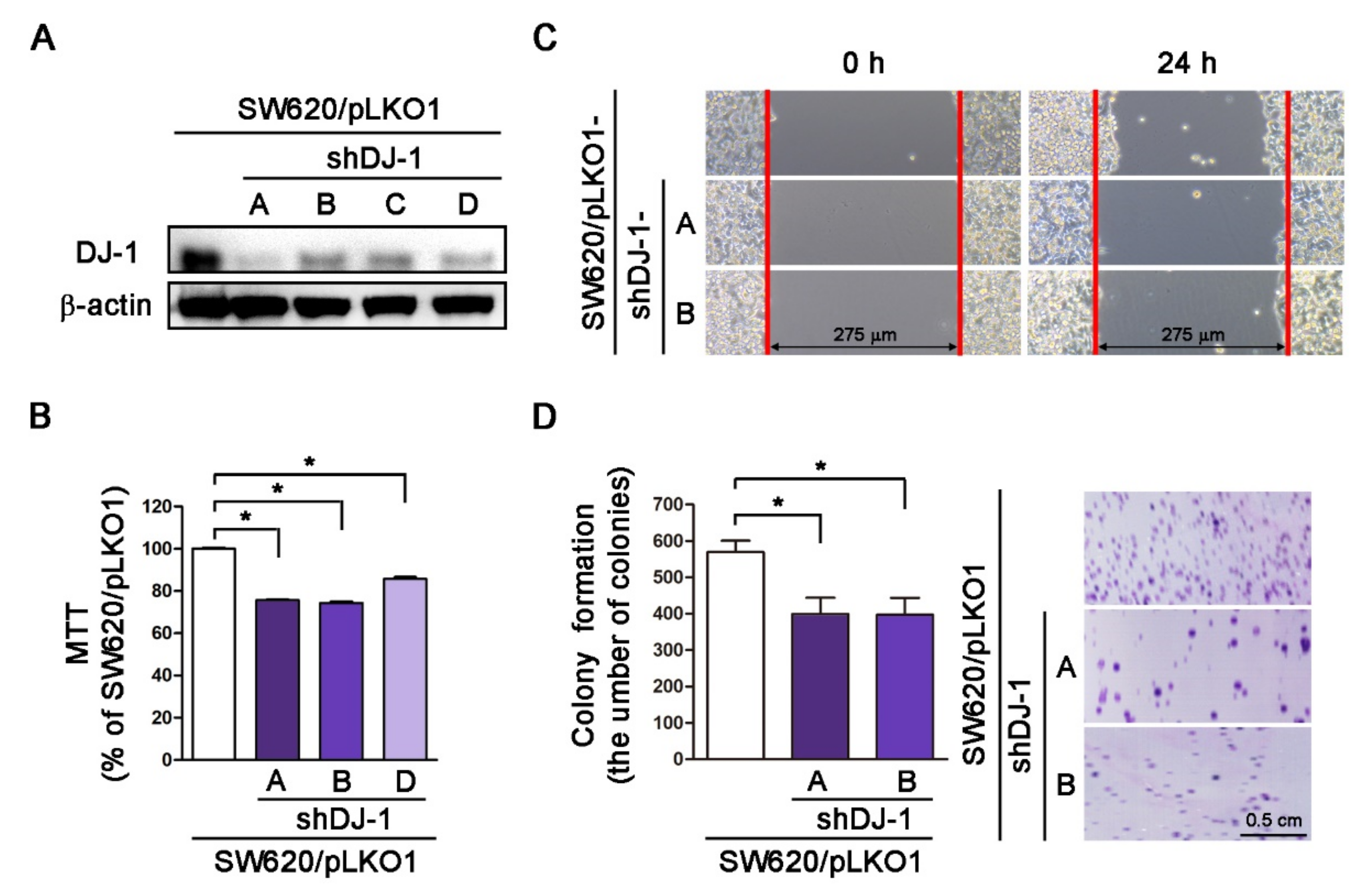 Cancers 13 04151 g004 550