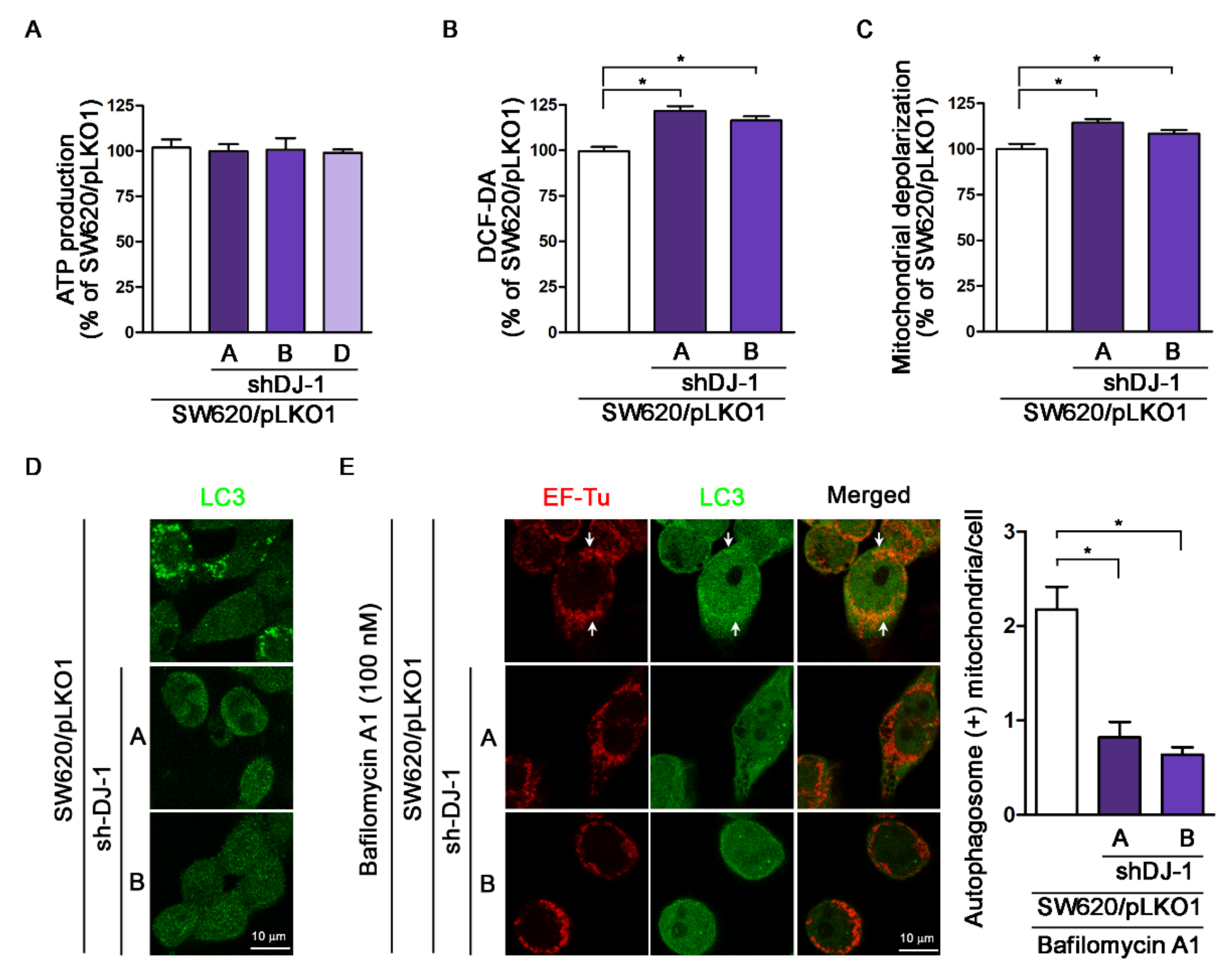 Cancers 13 04151 g006 550