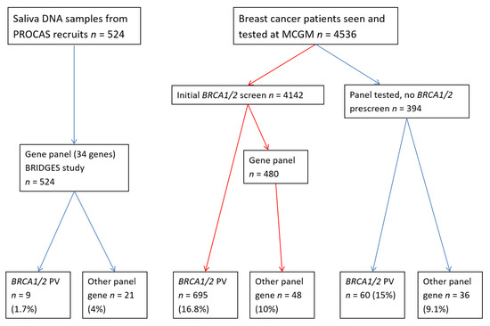 Gene-Panel Sequencing and the Prediction of Breast-Cancer Risk