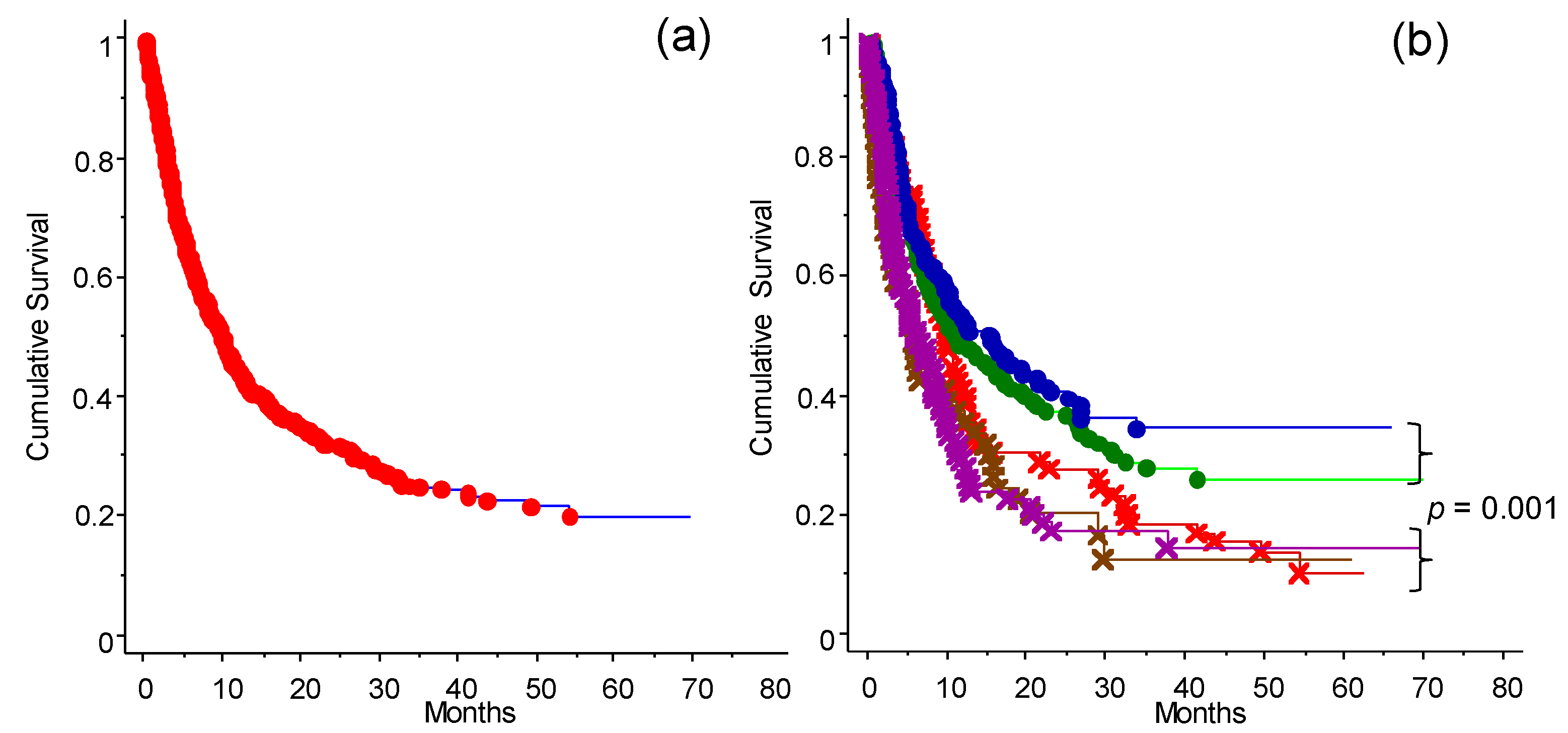 Cancers 13 04164 g002