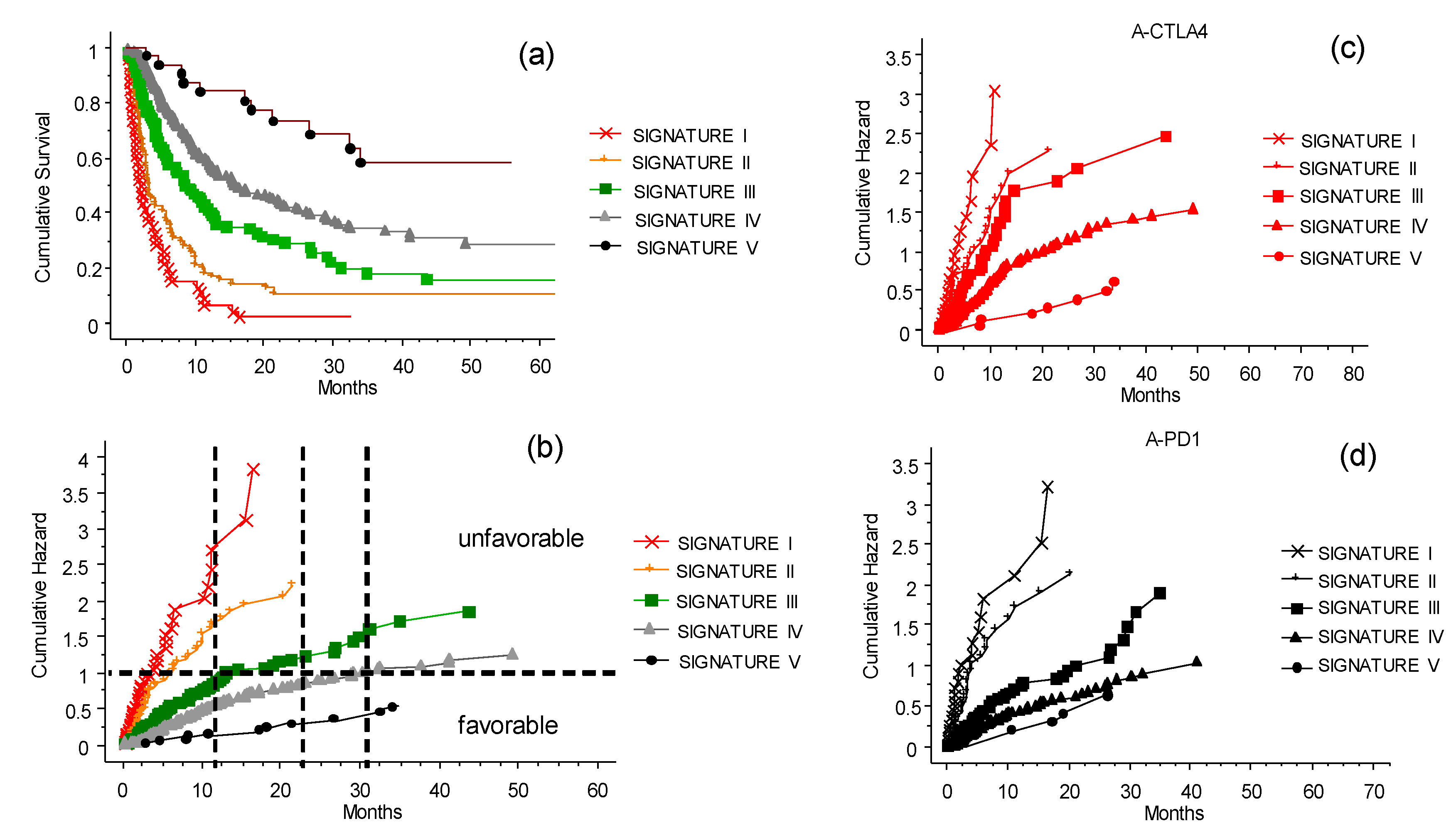 Cancers 13 04164 g008