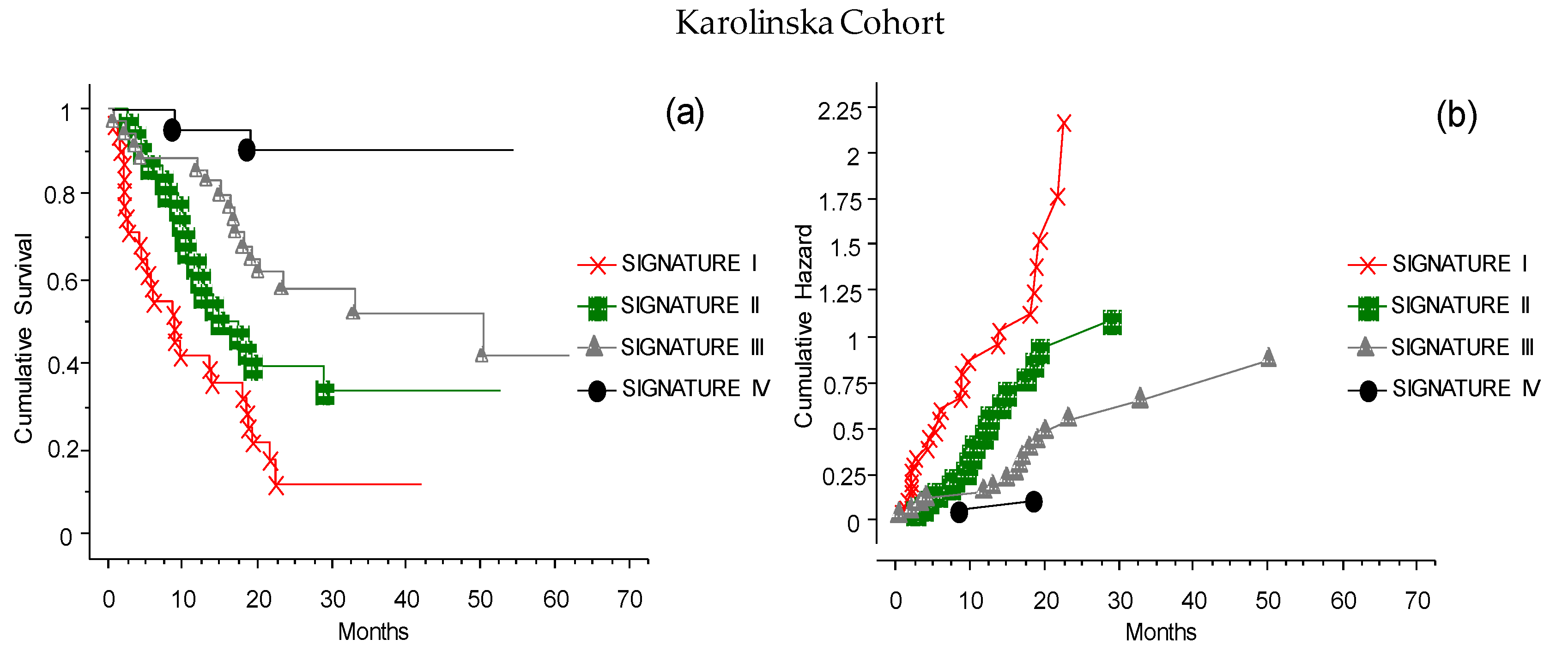 Cancers 13 04164 g010