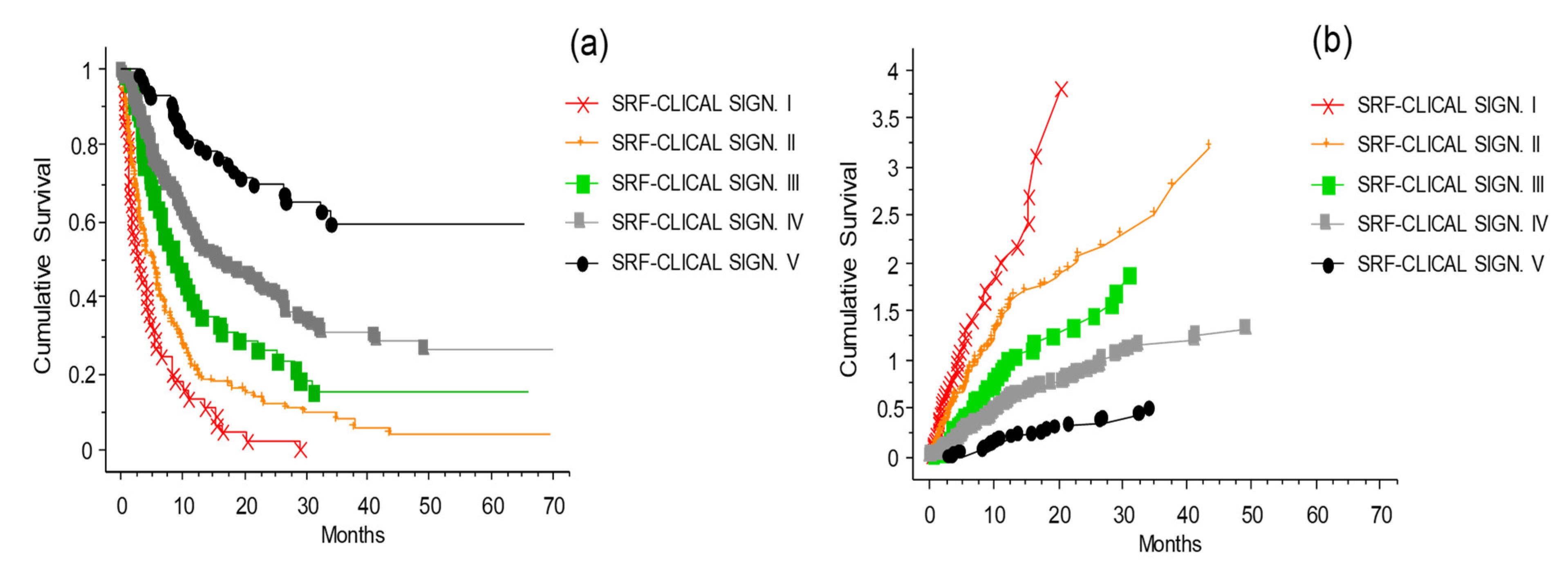 Cancers 13 04164 g013