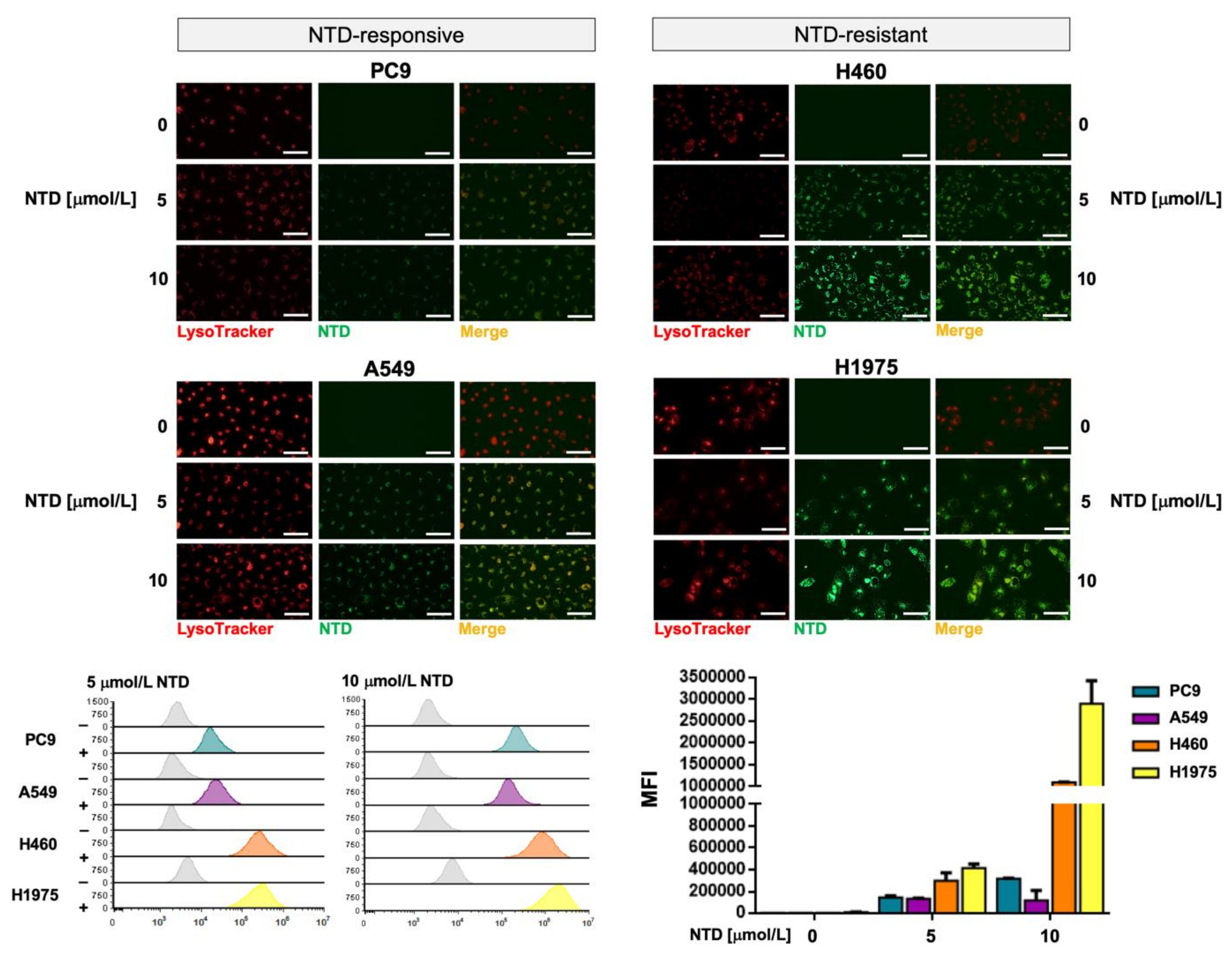 Cancers 13 04168 g004 Cancers 13 04168 g004
