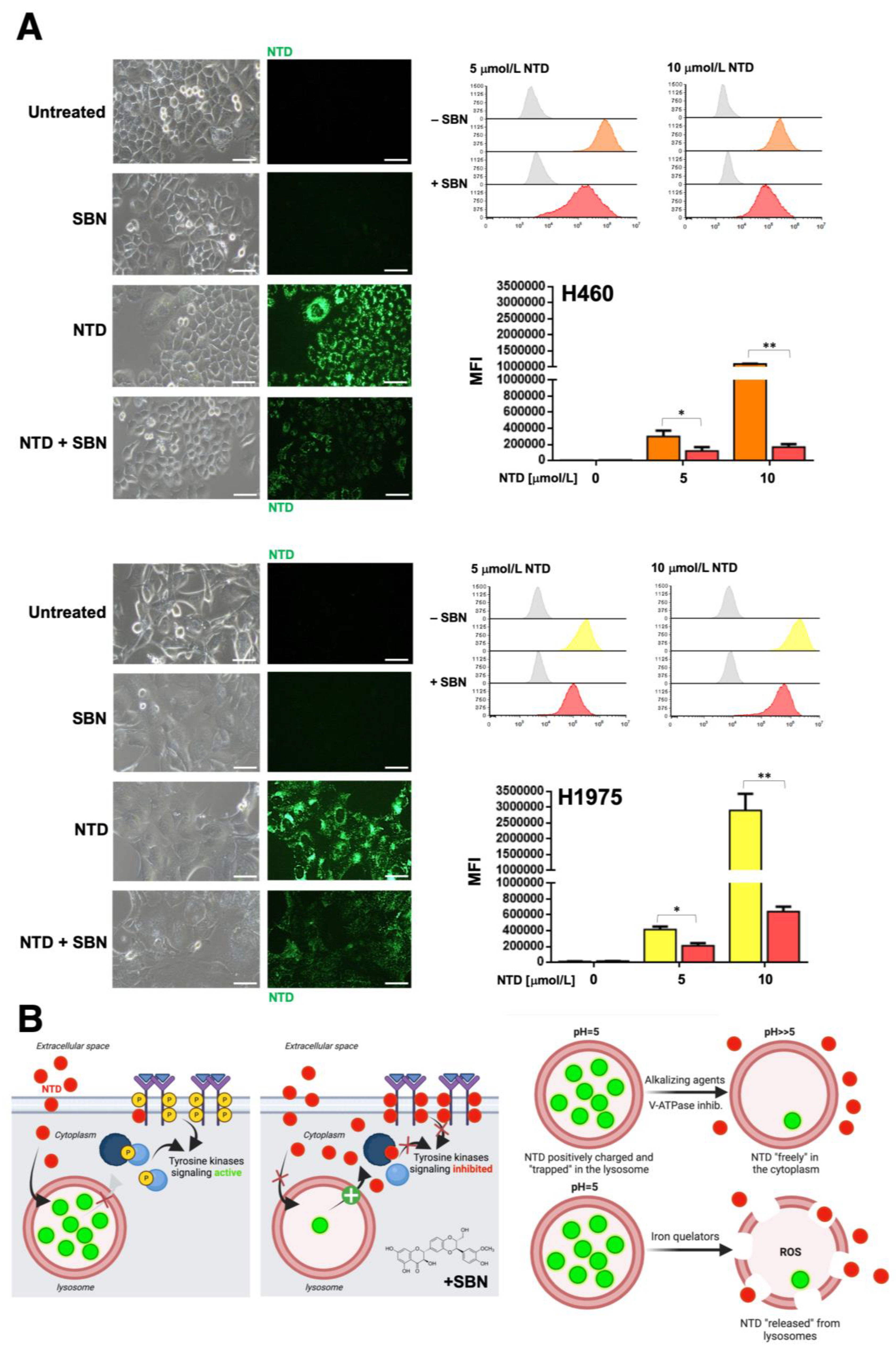 Cancers 13 04168 g005 Cancers 13 04168 g005