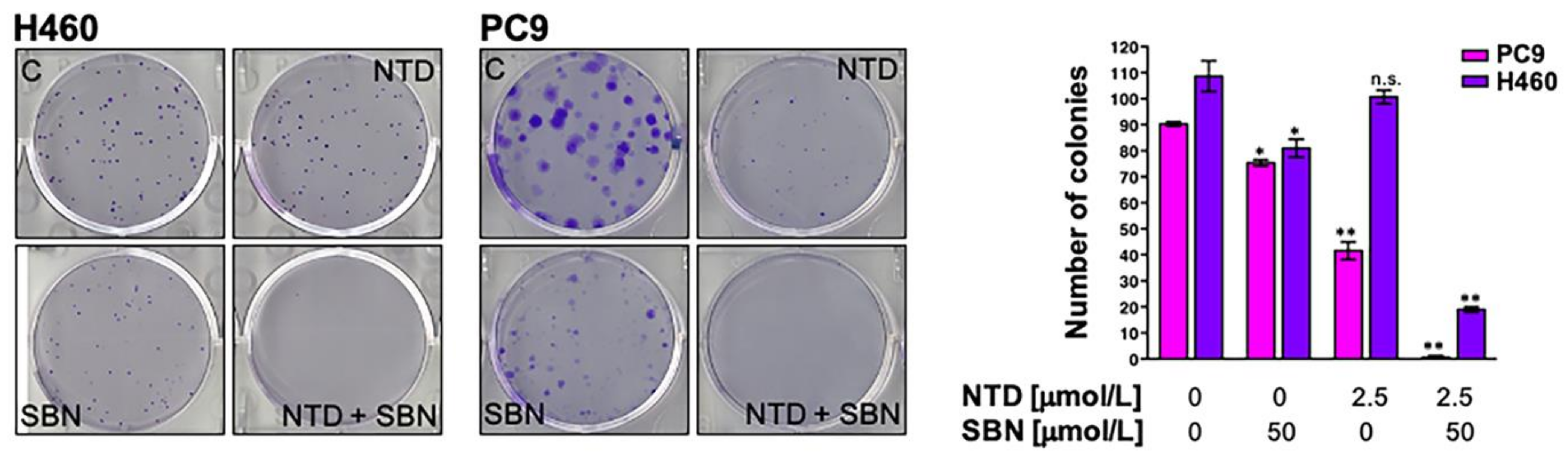 Cancers 13 04168 g006 Cancers 13 04168 g006