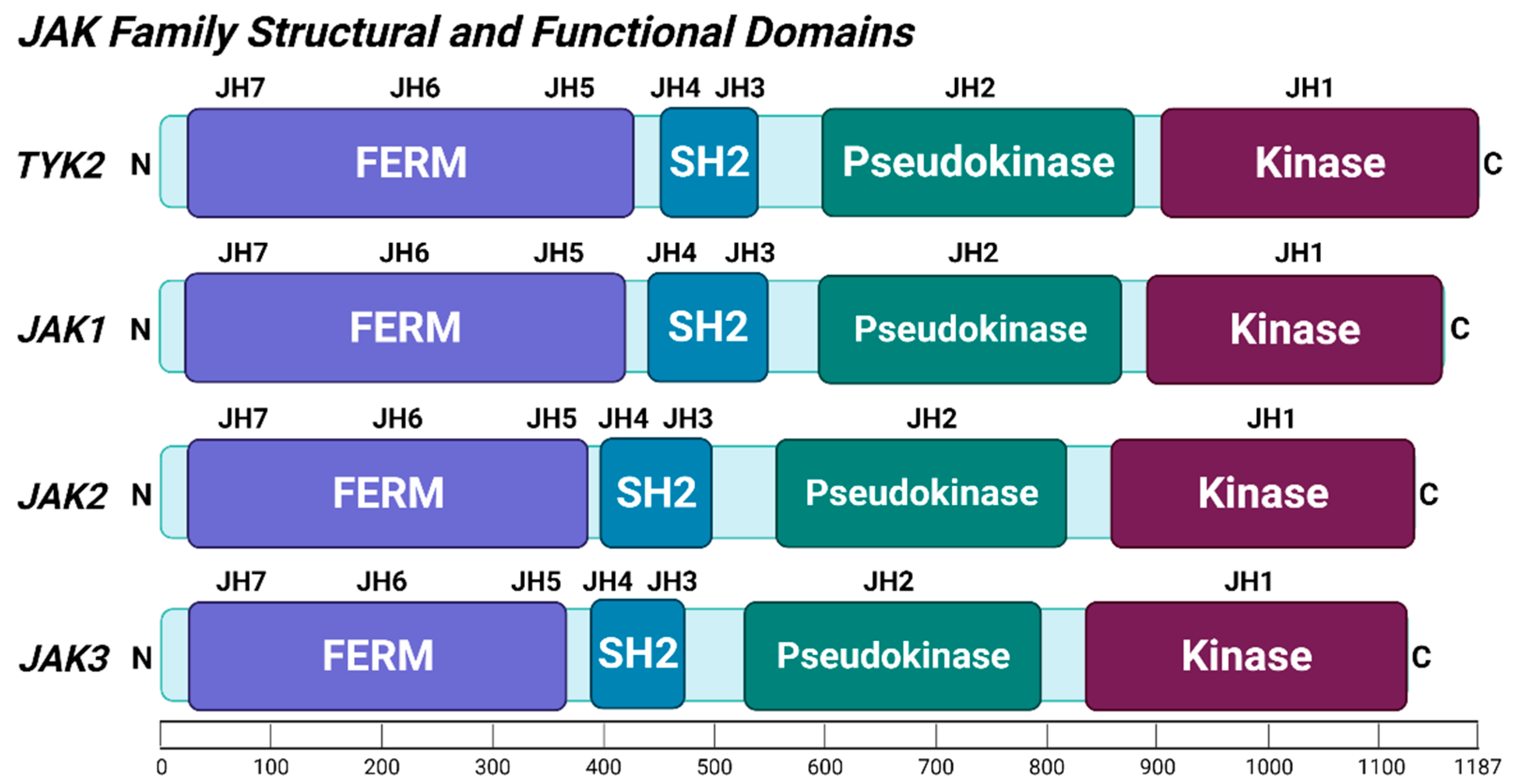 Cancers 13 04171 g001