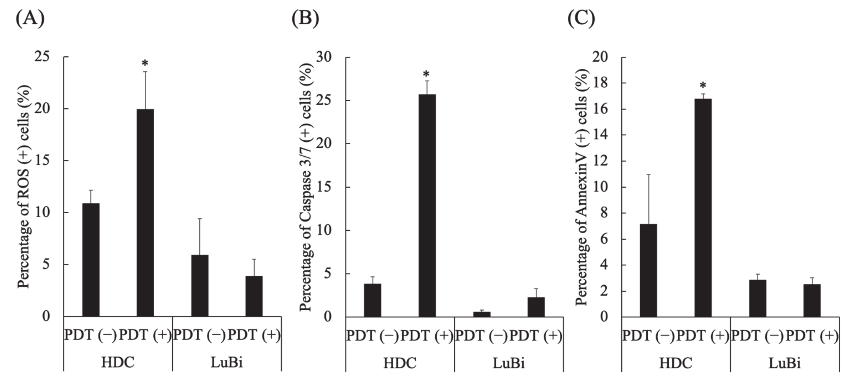 Cancers 13 04174 g004 Cancers 13 04174 g004