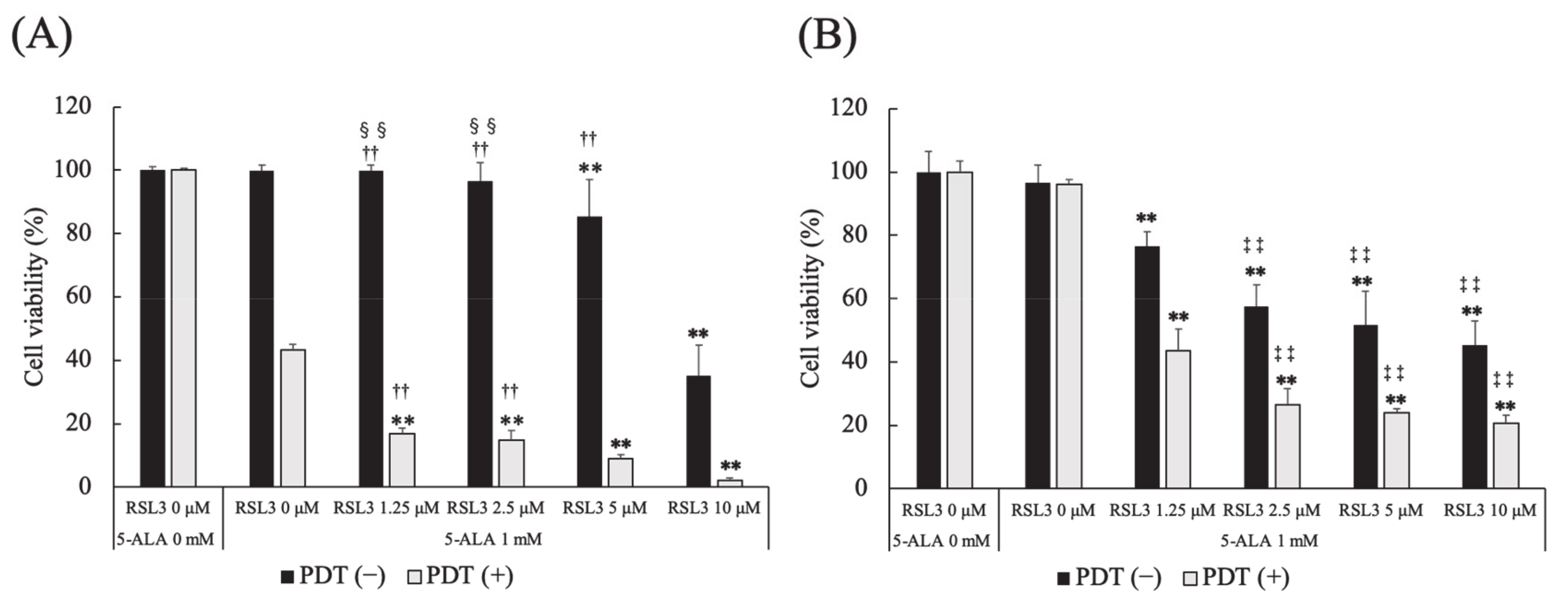 Cancers 13 04174 g006 Cancers 13 04174 g006