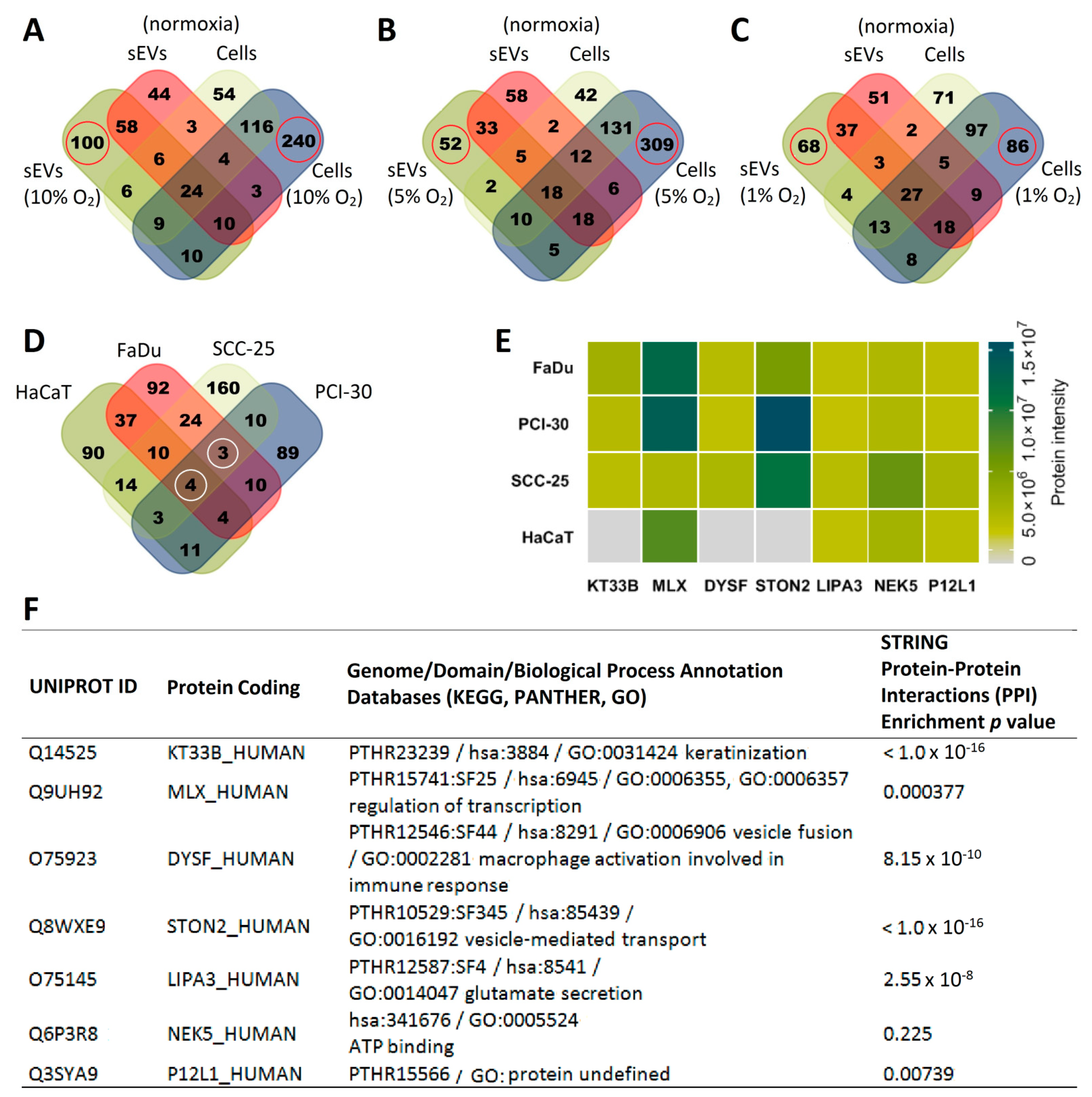 Cancers 13 04176 g002 Cancers 13 04176 g002
