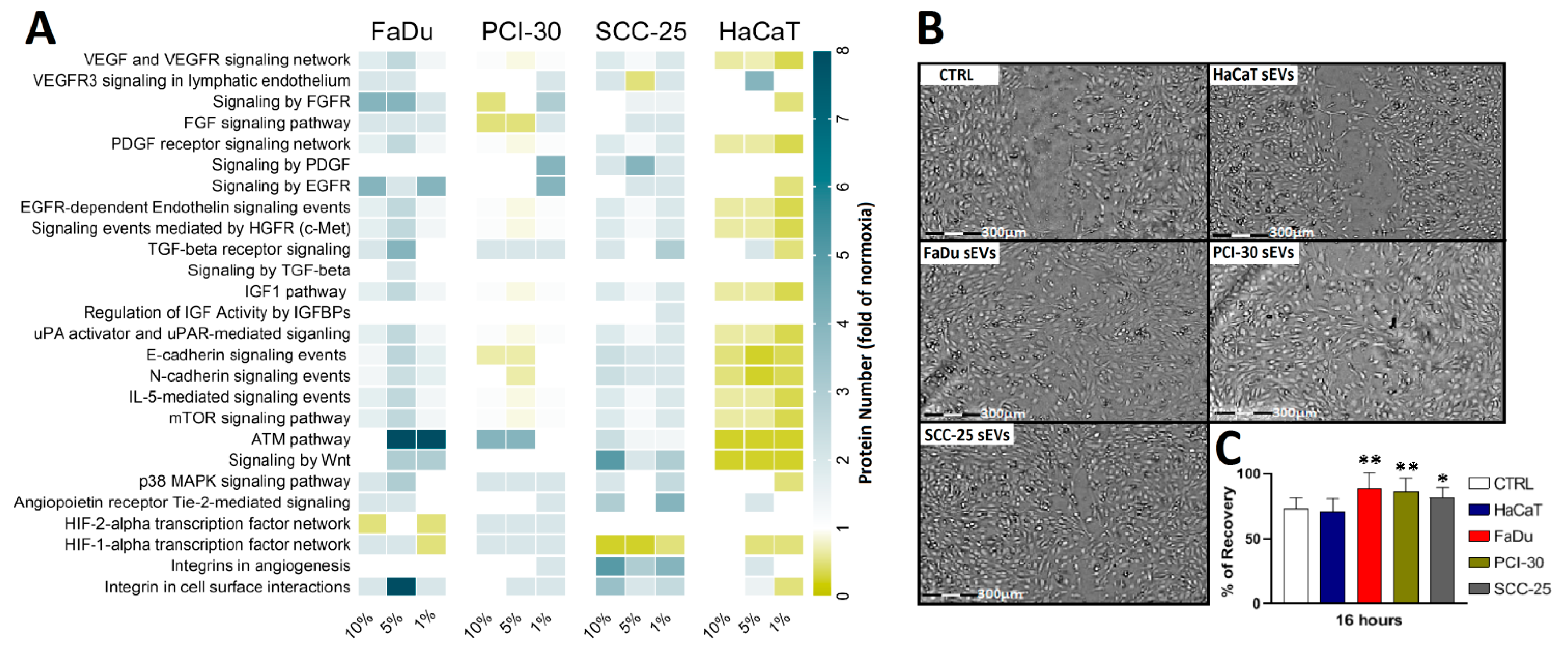 Cancers 13 04176 g006 Cancers 13 04176 g006