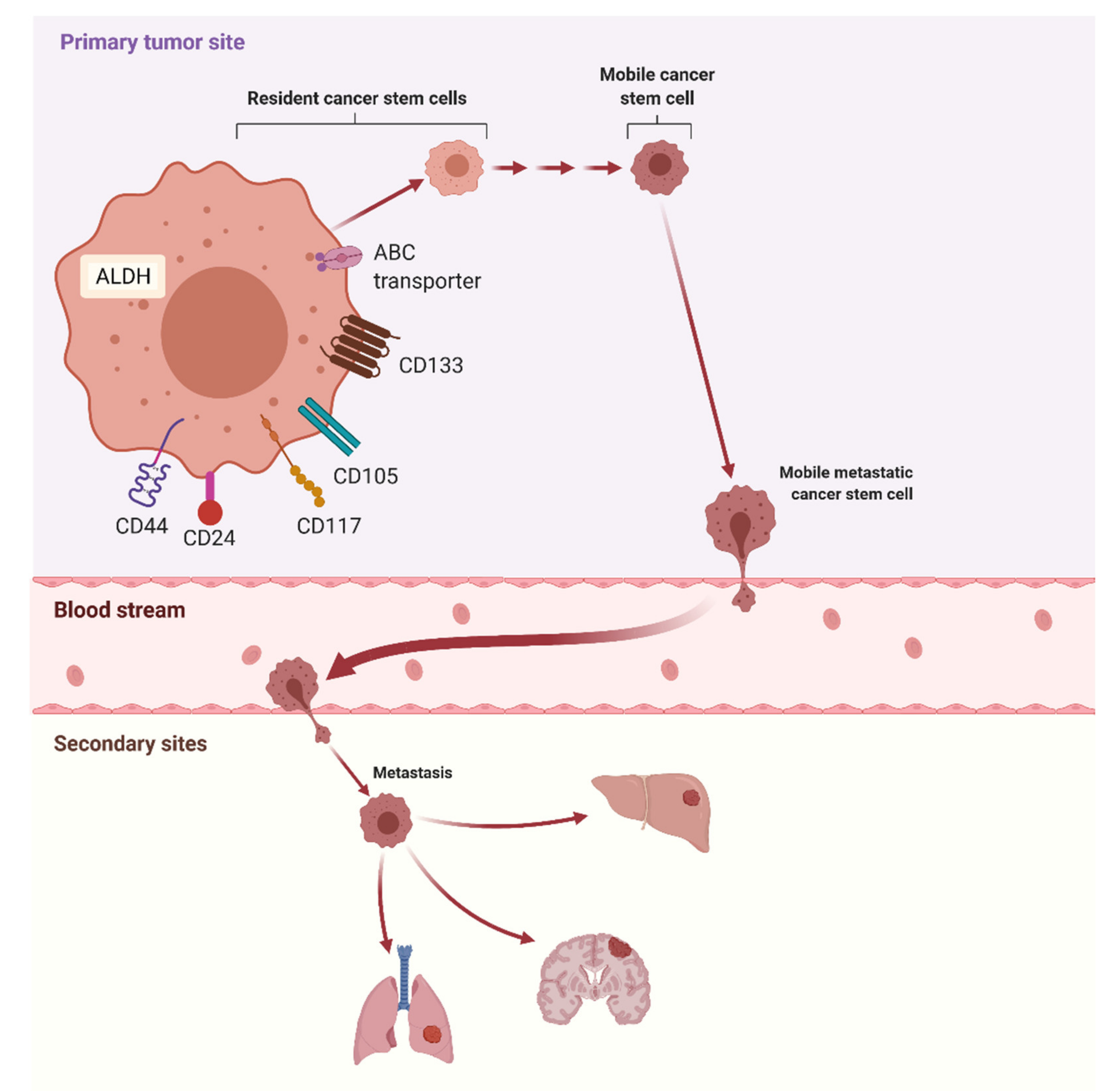 Cancers 13 04178 g002 550