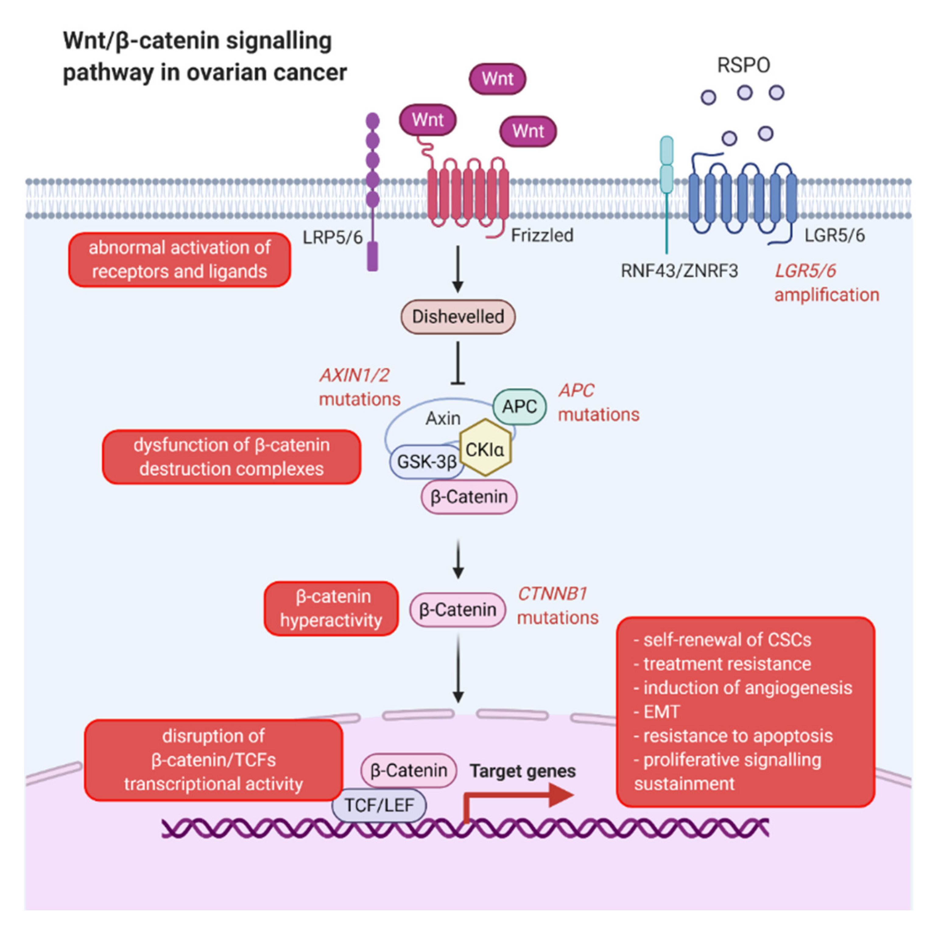 Cancers 13 04178 g003 550