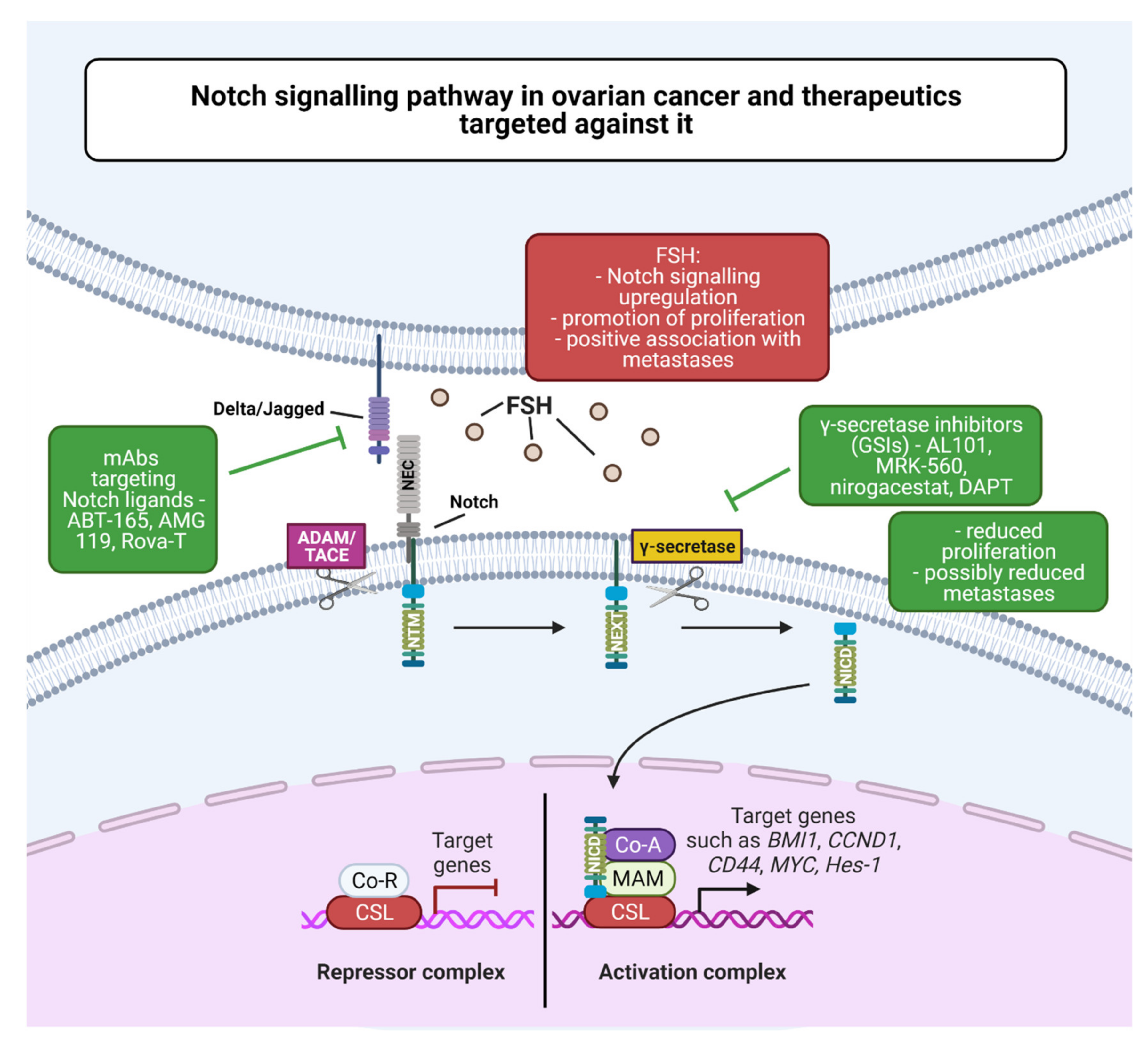 Cancers 13 04178 g004 550