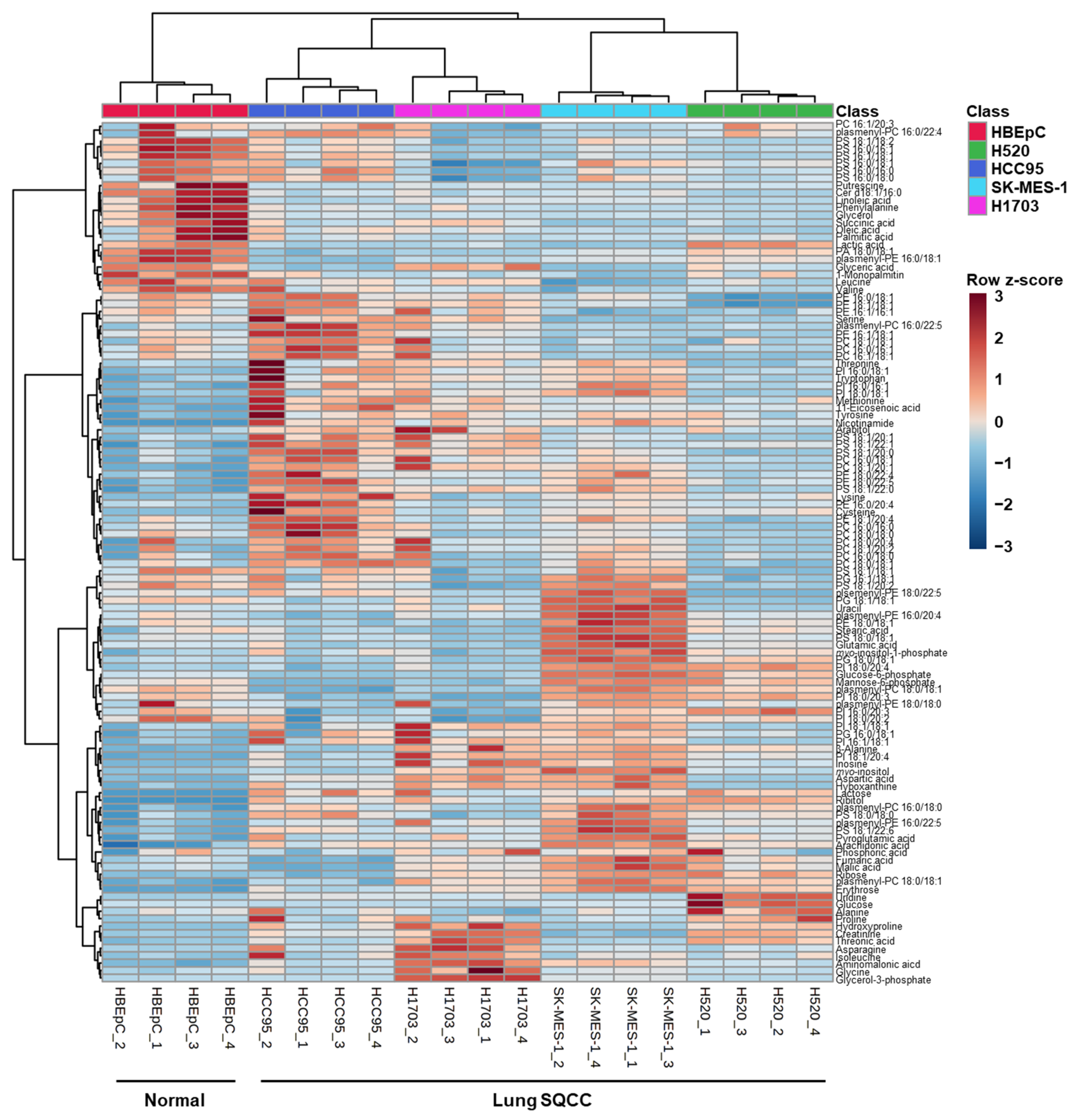 Cancers 13 04179 g002