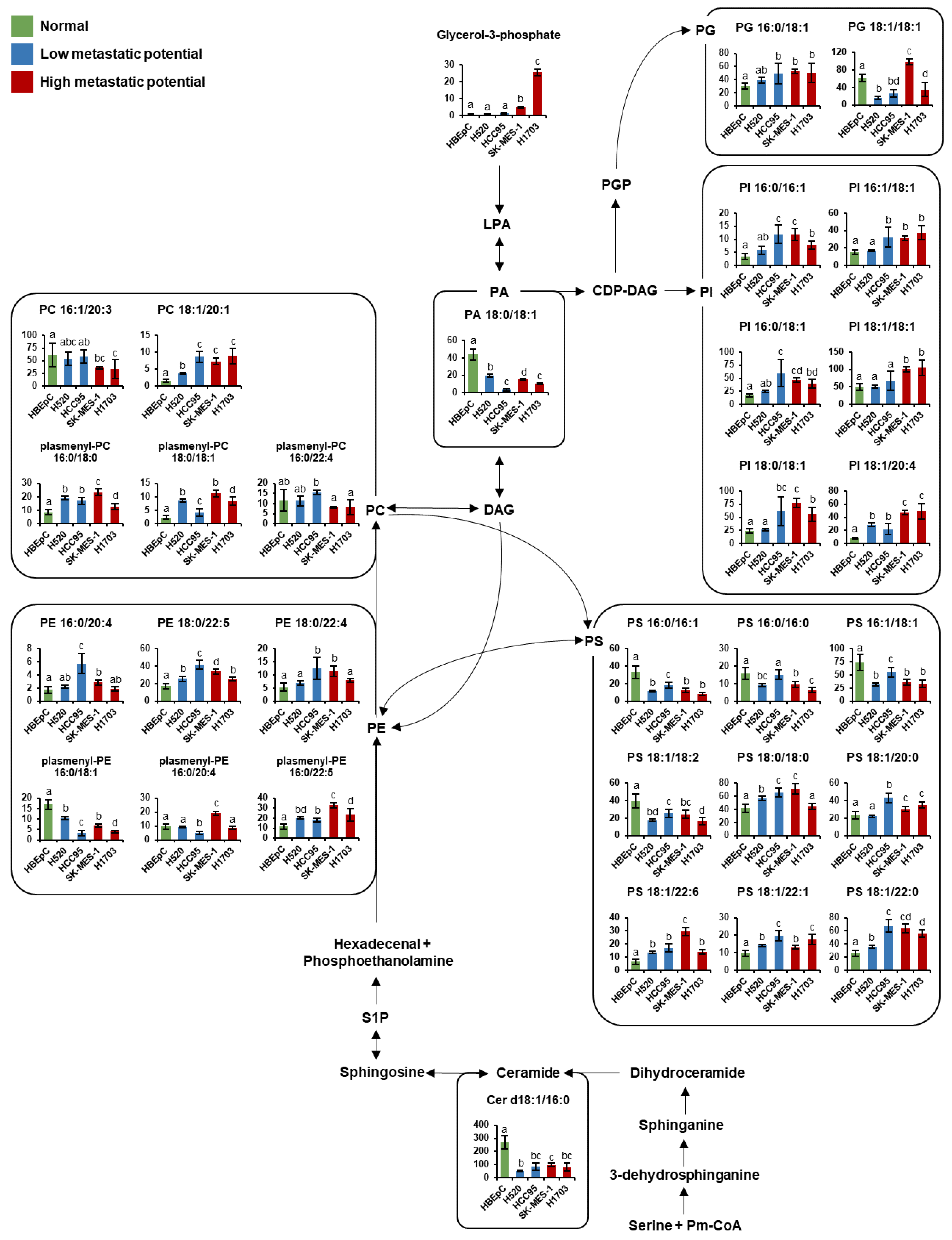 Cancers 13 04179 g006