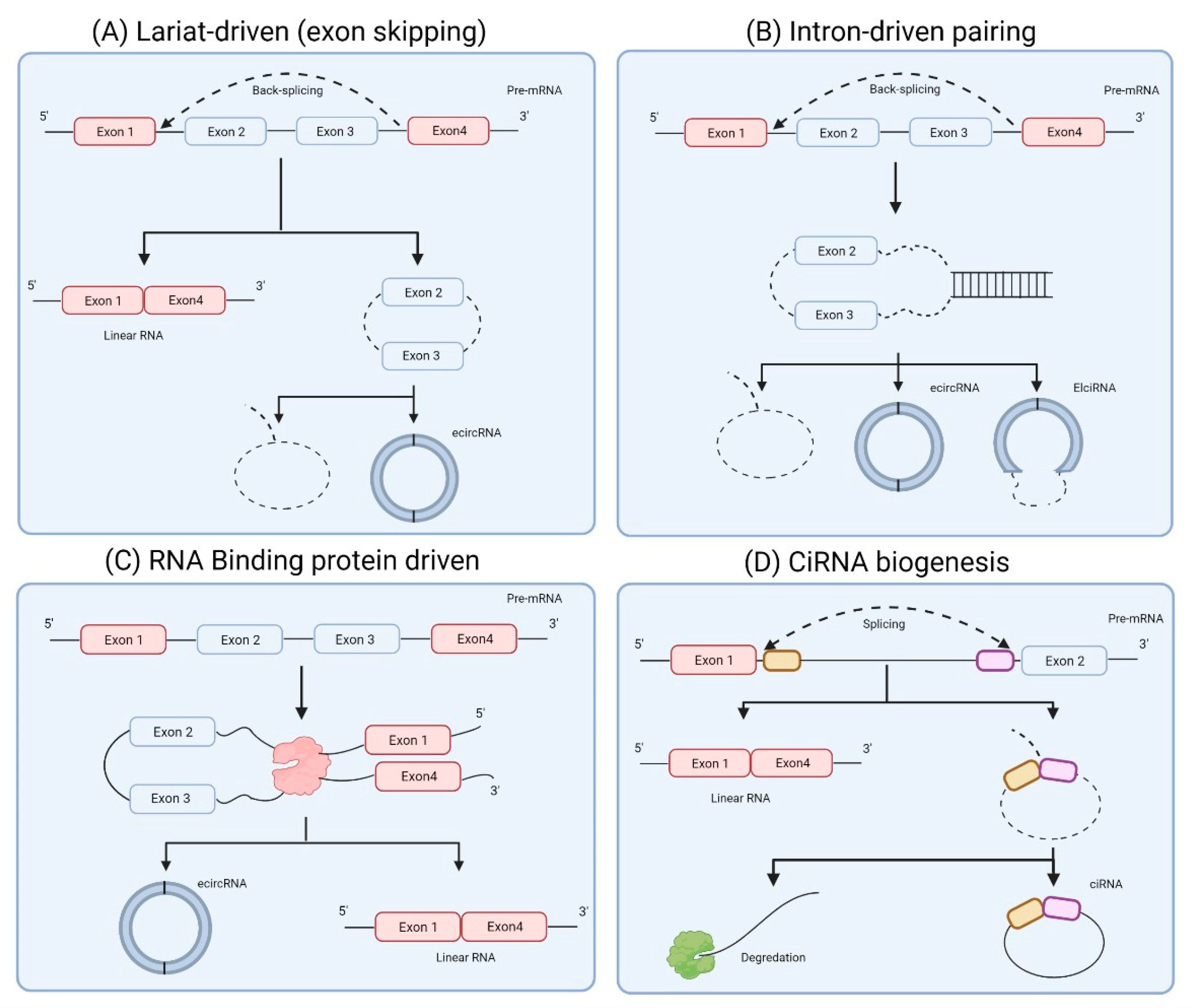 Cancers 13 04180 g001