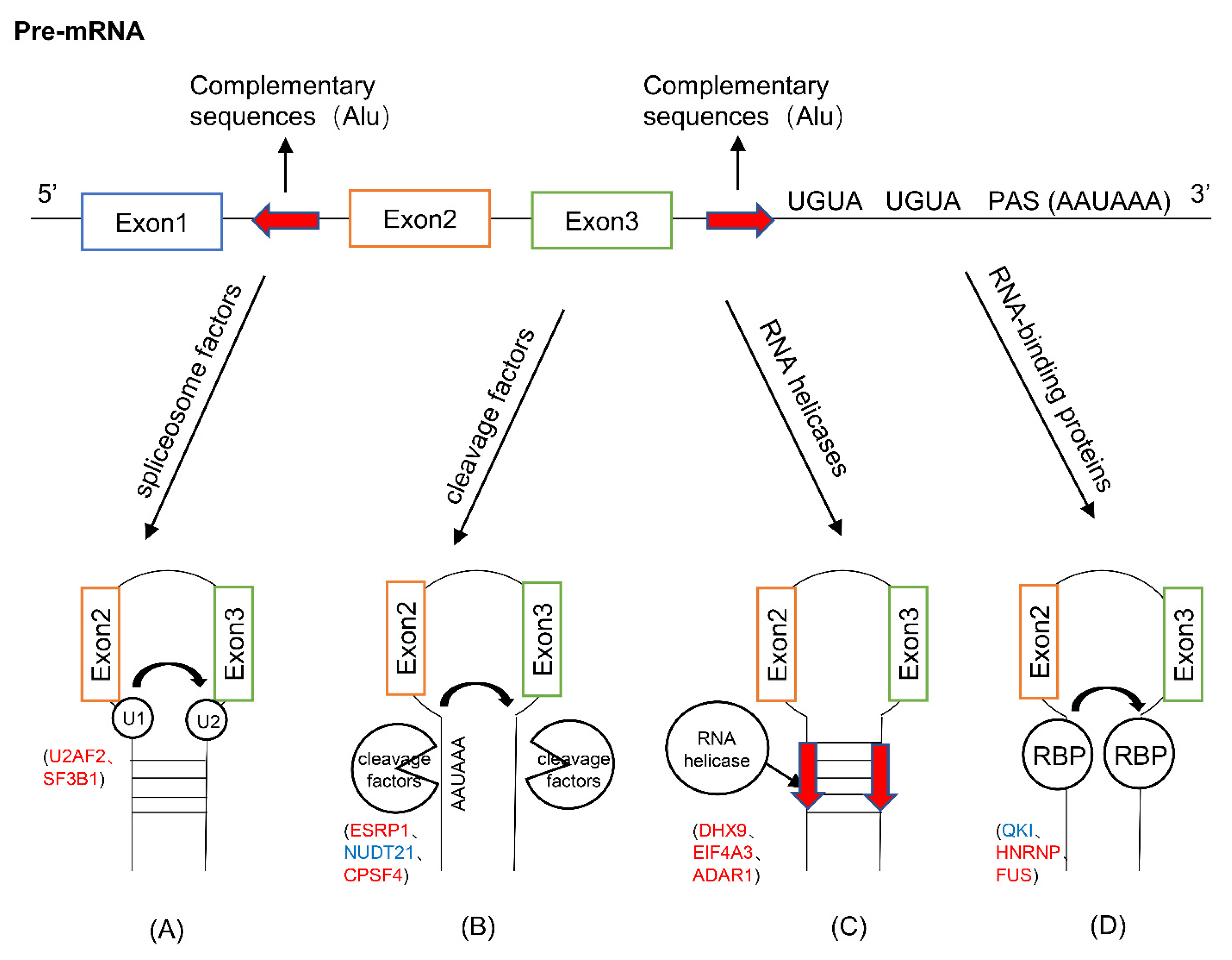 Cancers 13 04185 g002