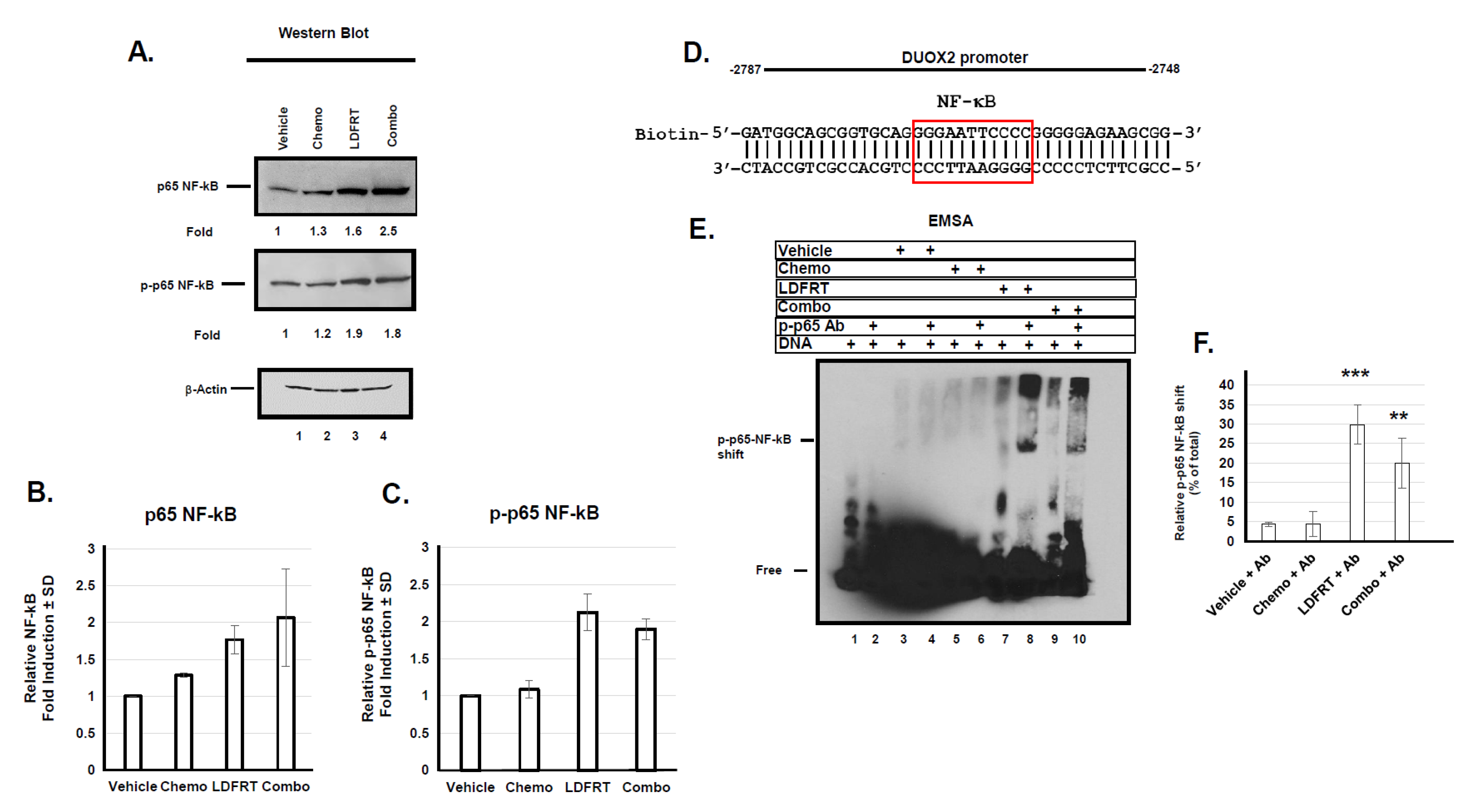 Cancers 13 04186 g007 Cancers 13 04186 g007