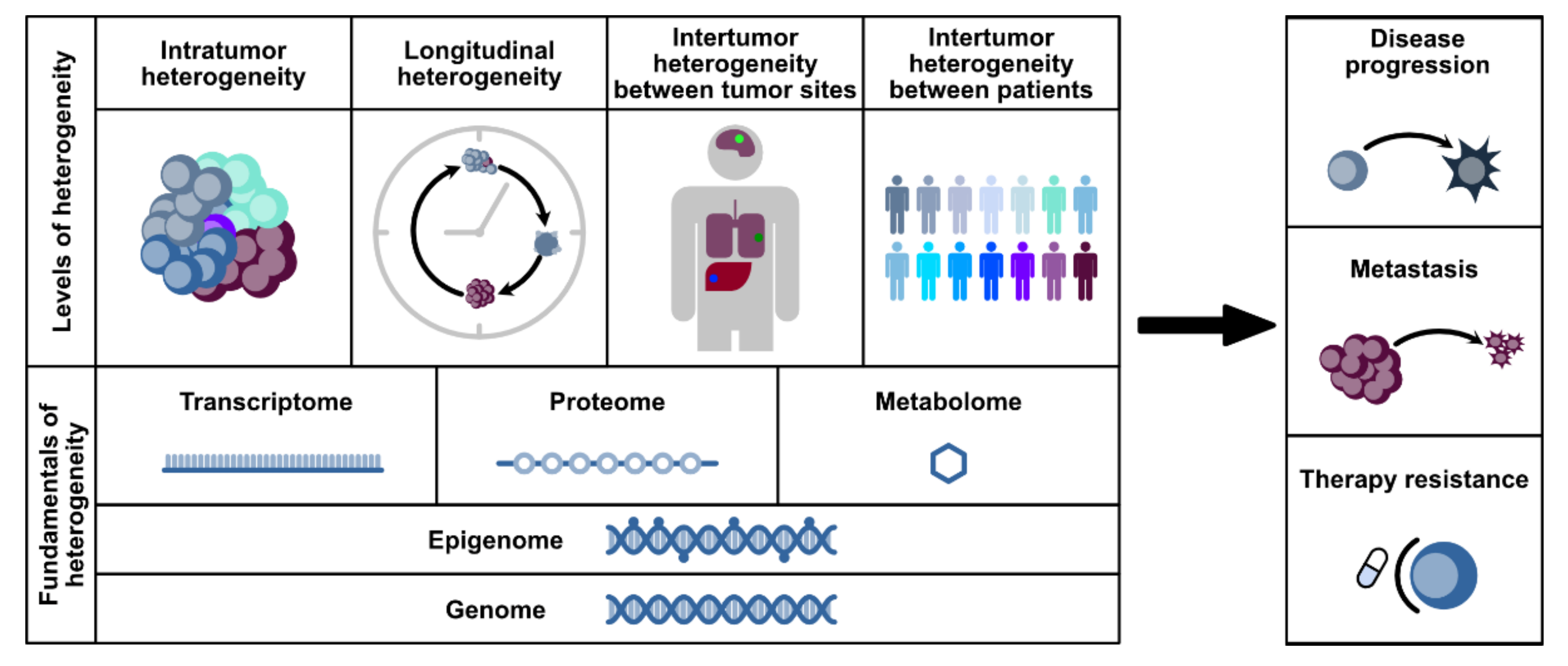 Cancers 13 04187 g001 Cancers 13 04187 g001
