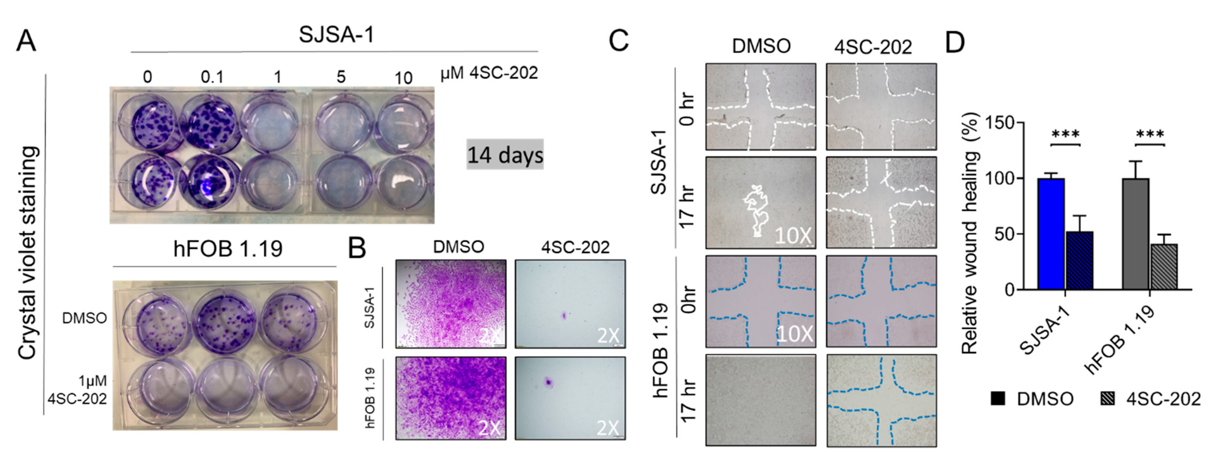 Cancers 13 04199 g003 Cancers 13 04199 g003
