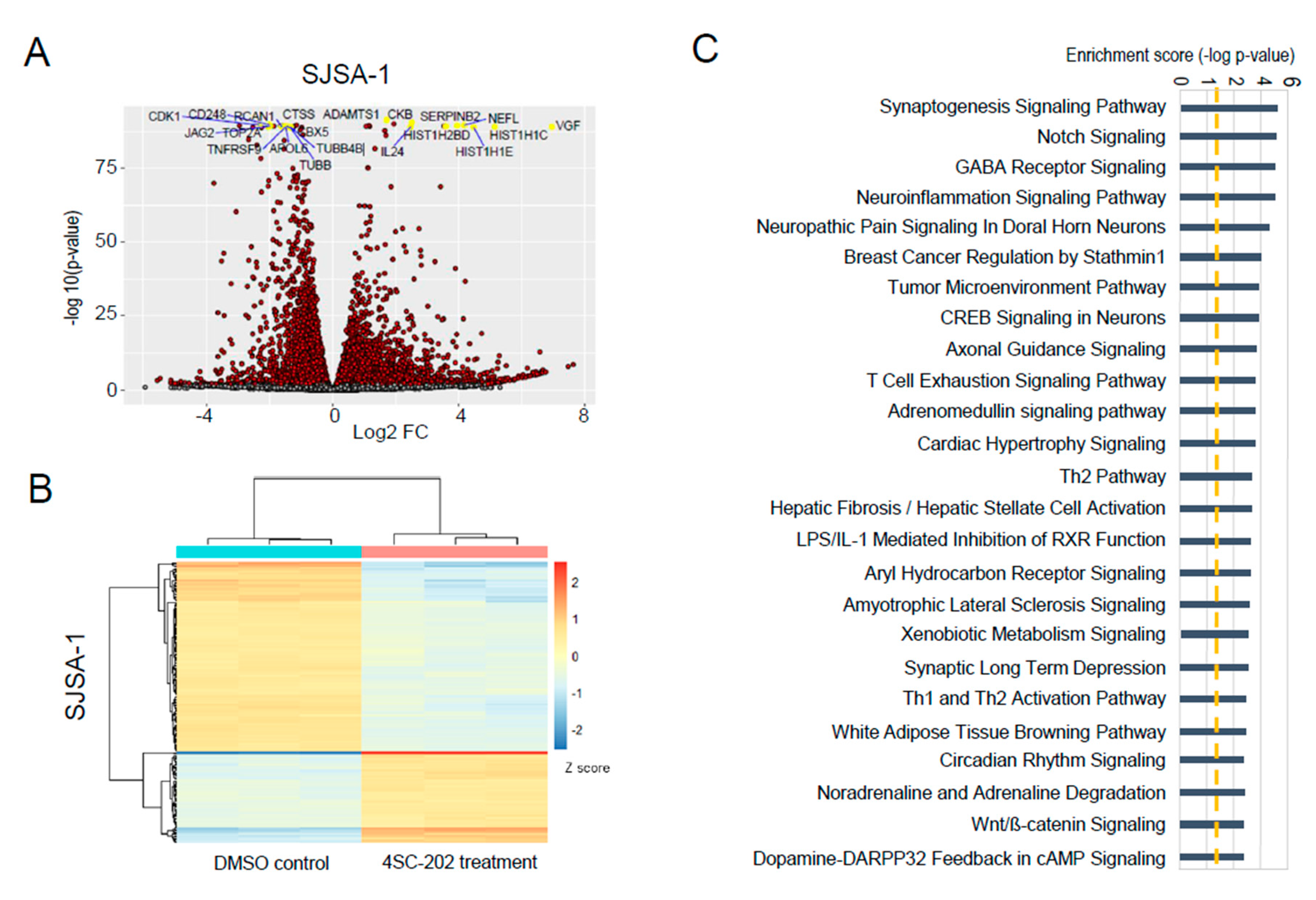 Cancers 13 04199 g007 Cancers 13 04199 g007