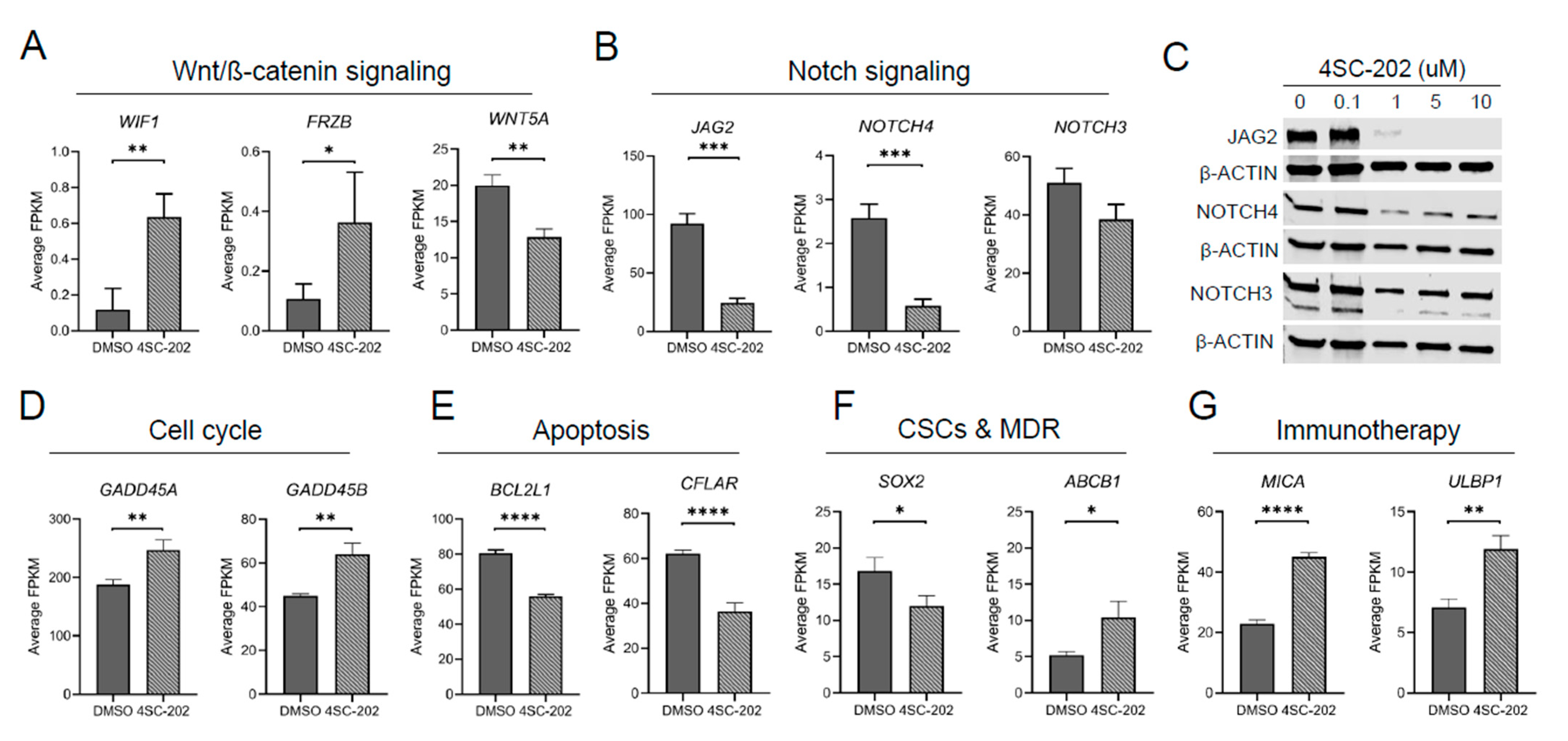 Cancers 13 04199 g008 Cancers 13 04199 g008