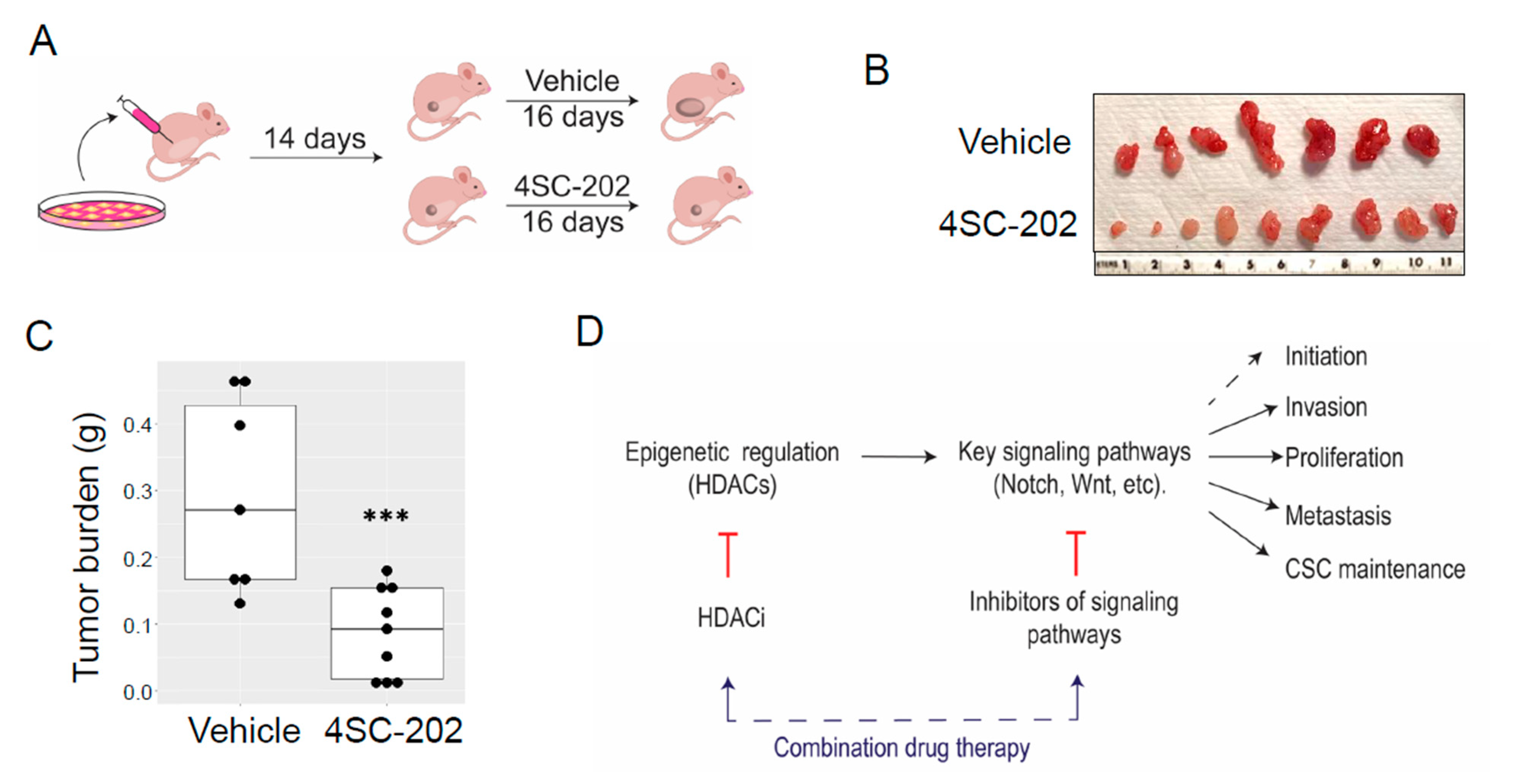 Cancers 13 04199 g009 Cancers 13 04199 g009
