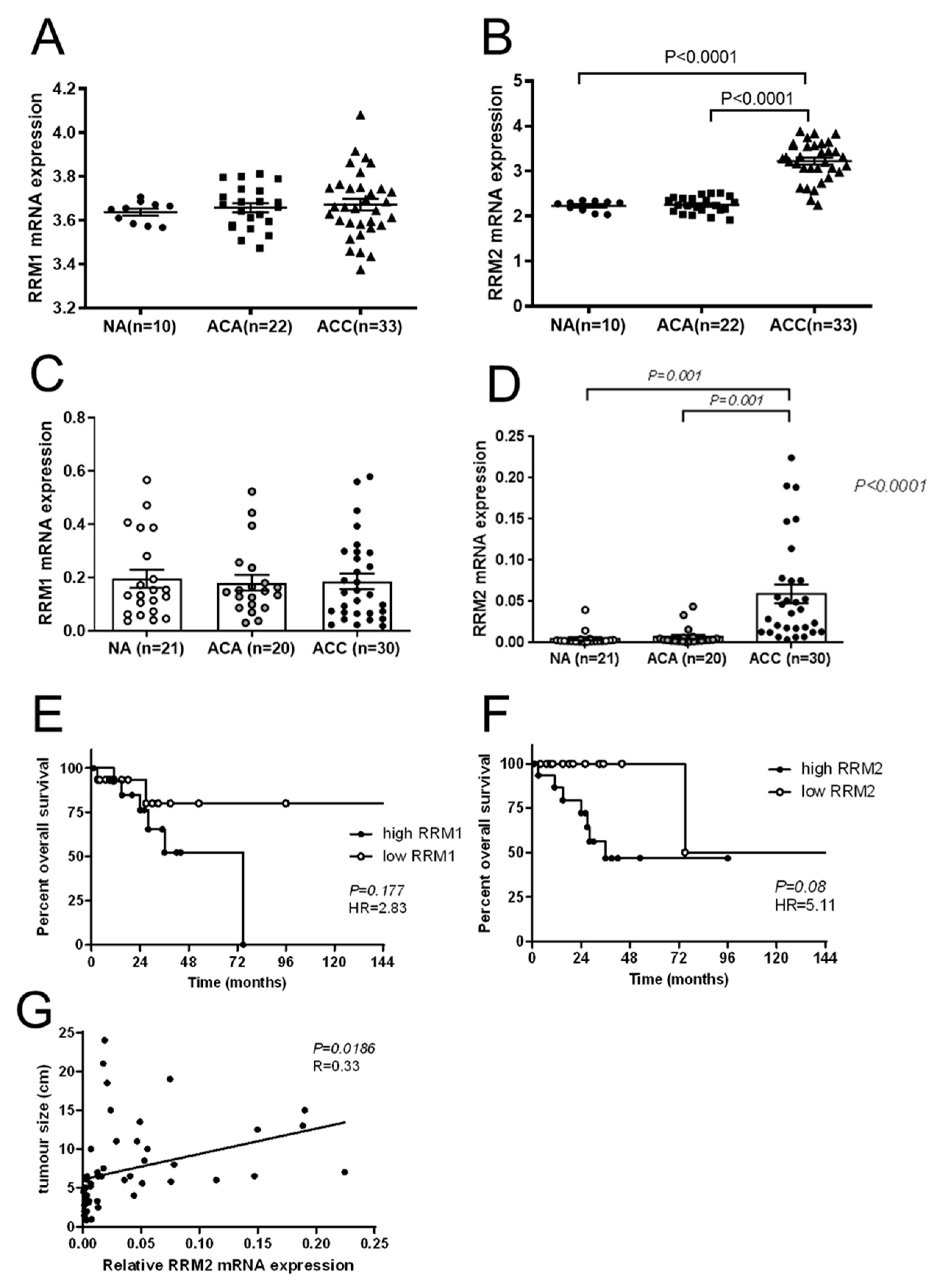 Cancers 13 04200 g004