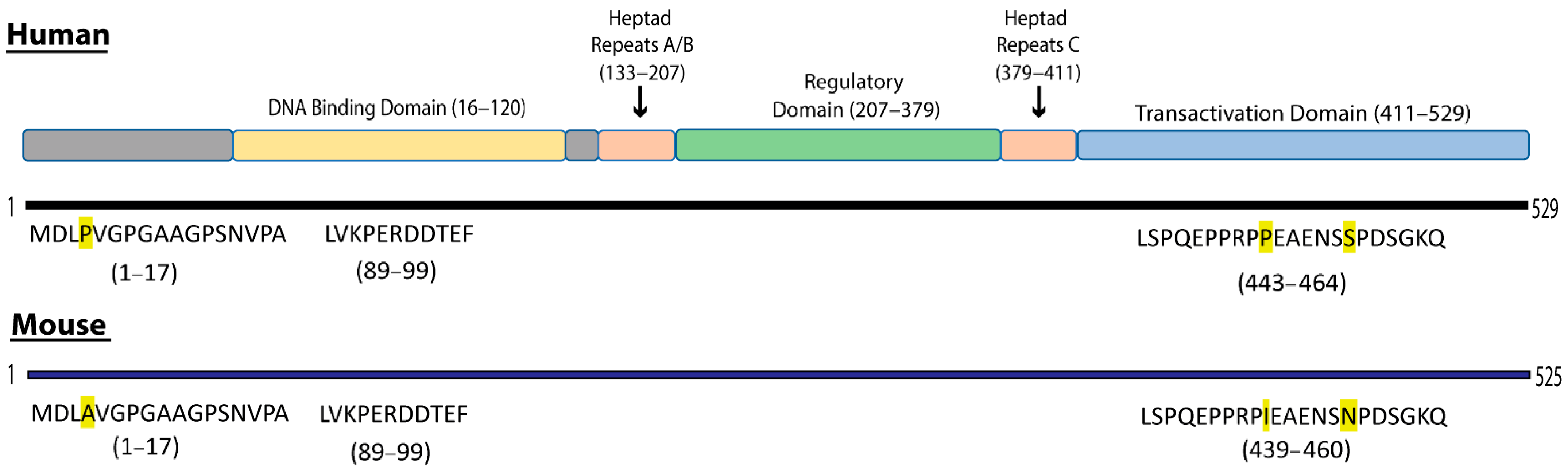 Cancers 13 04201 g001 Cancers 13 04201 g001