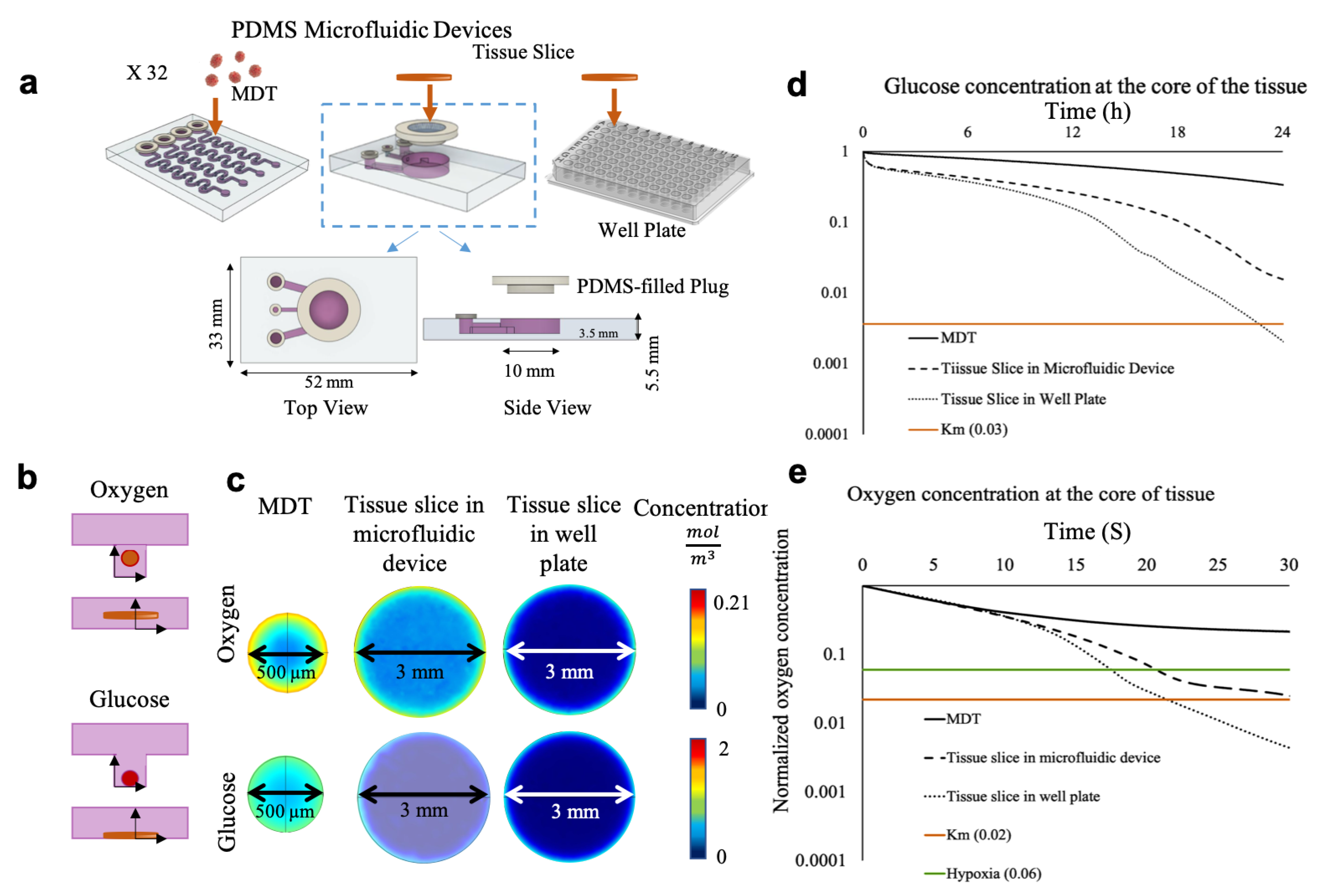 Cancers 13 04208 g001 Cancers 13 04208 g001