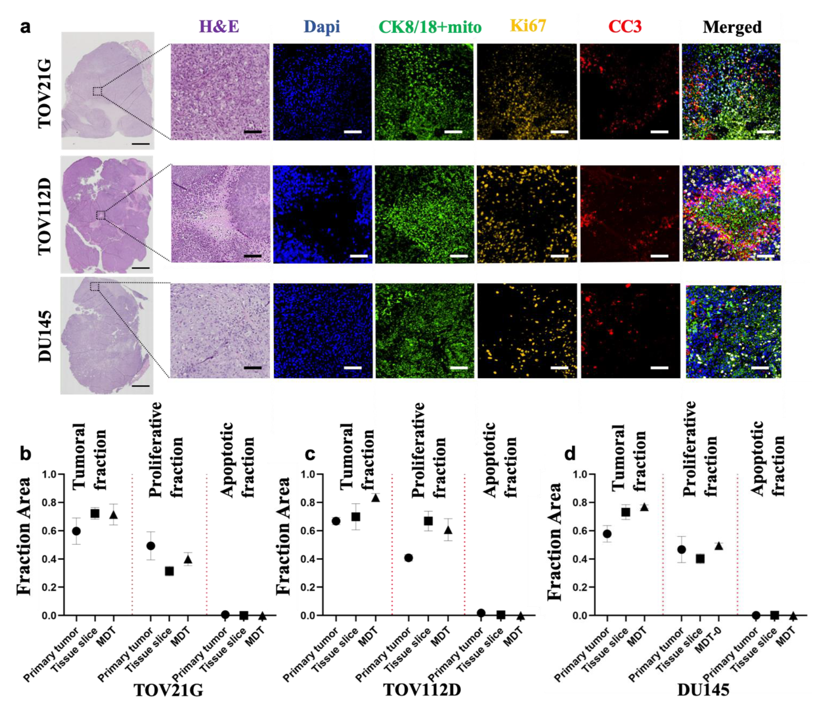 Cancers 13 04208 g002 Cancers 13 04208 g002