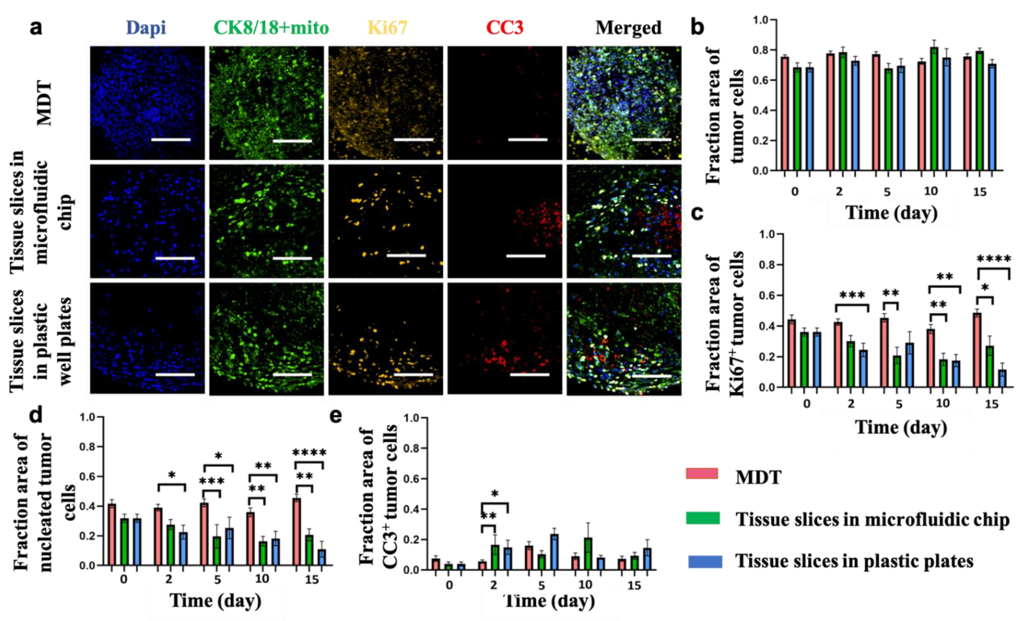Cancers 13 04208 g003 Cancers 13 04208 g003