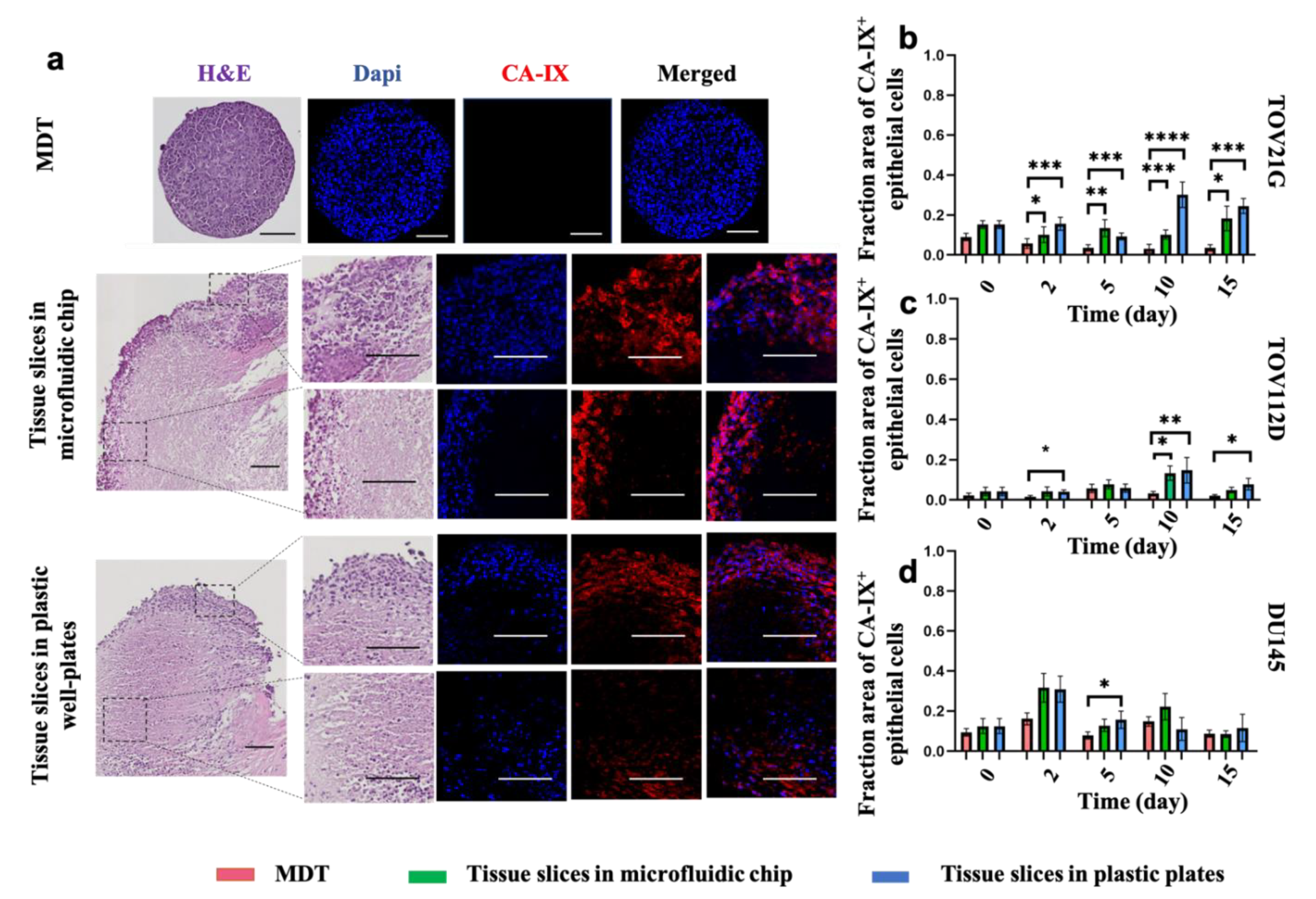Cancers 13 04208 g004 Cancers 13 04208 g004