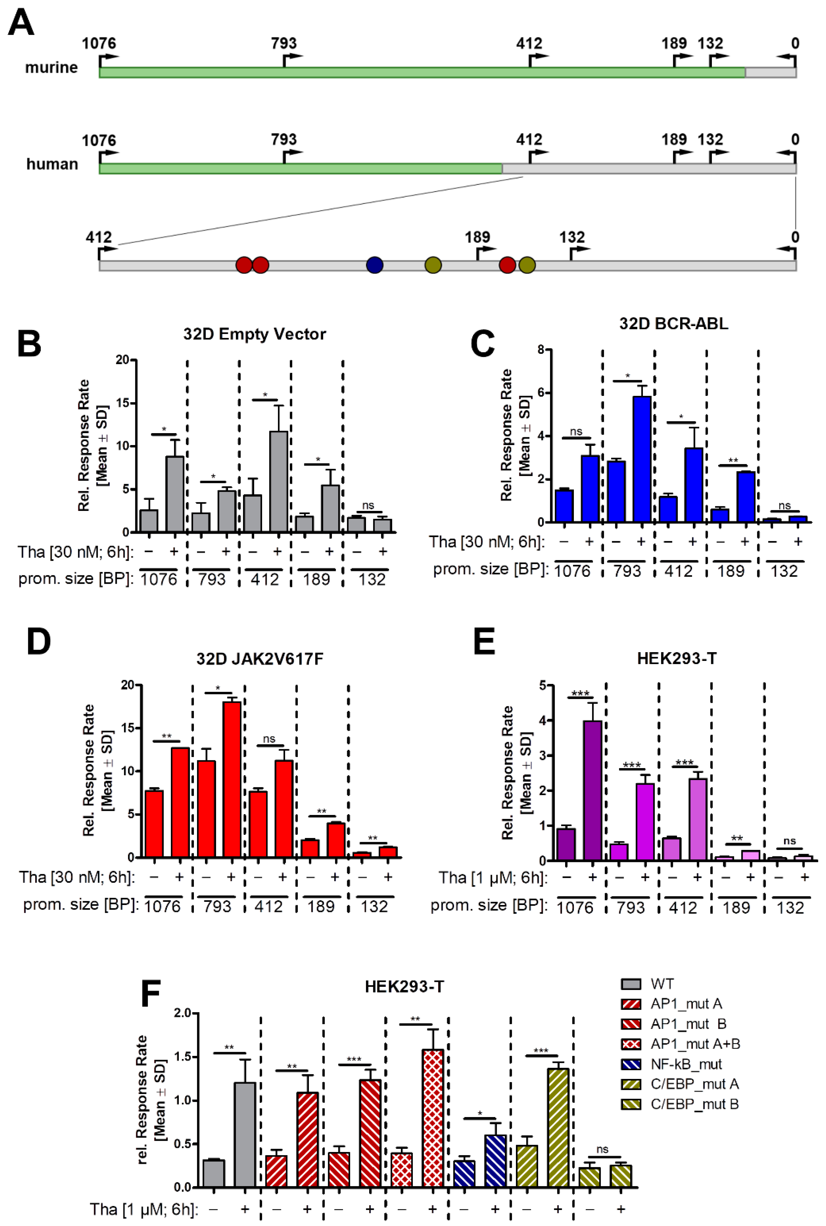 Cancers 13 04210 g005 550