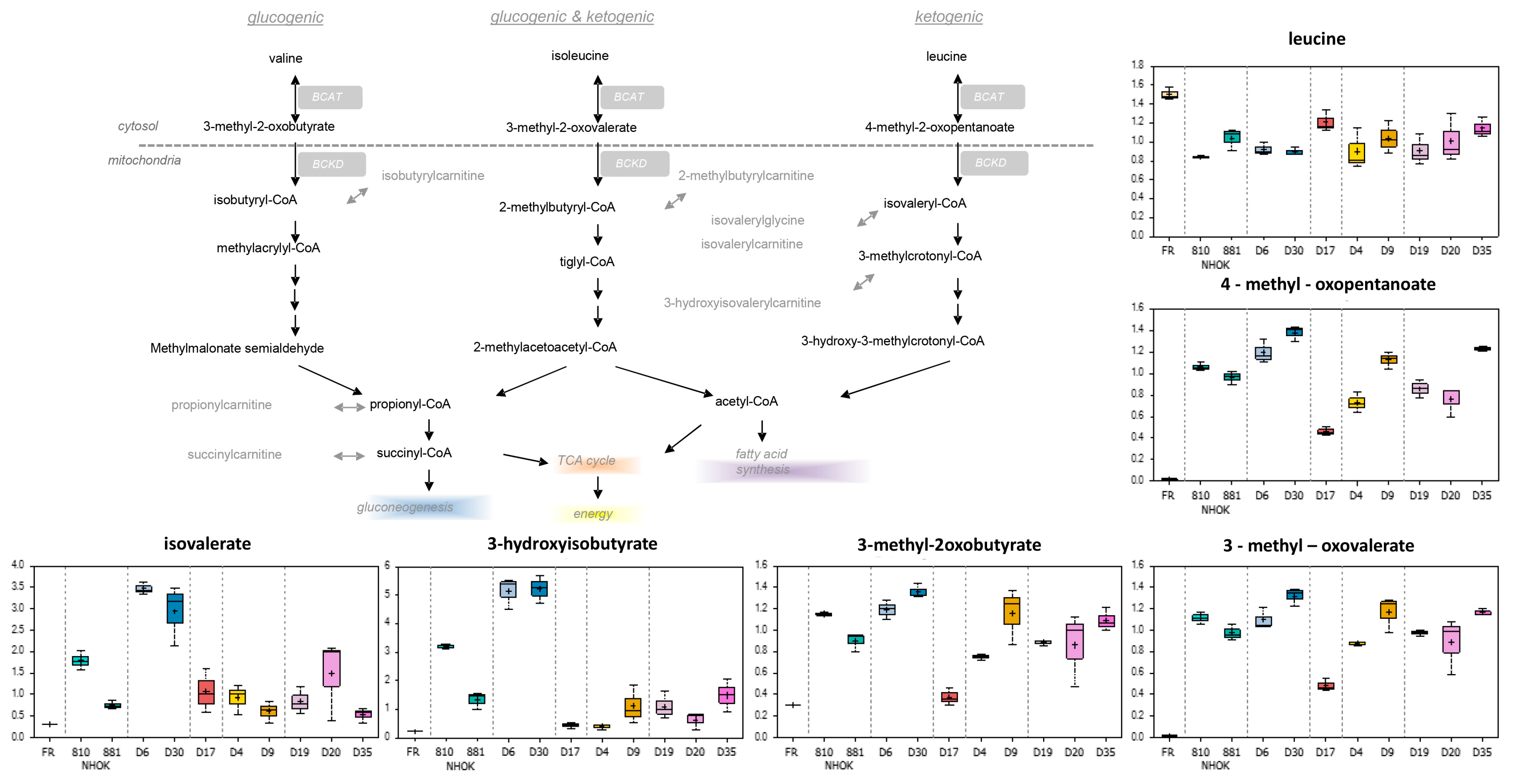 Cancers 13 04212 g003 Cancers 13 04212 g003