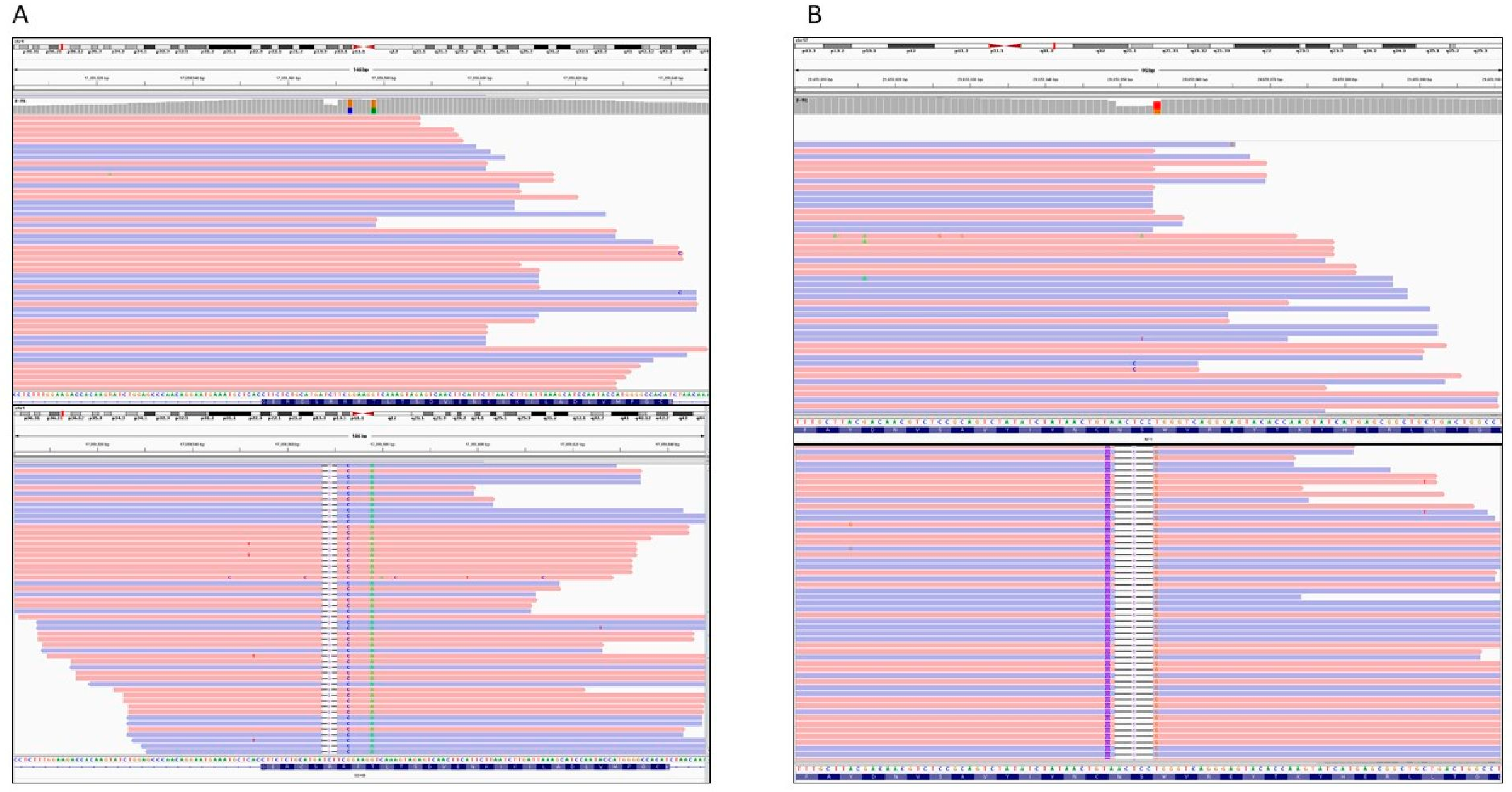 Cancers 13 04219 g002 Cancers 13 04219 g002