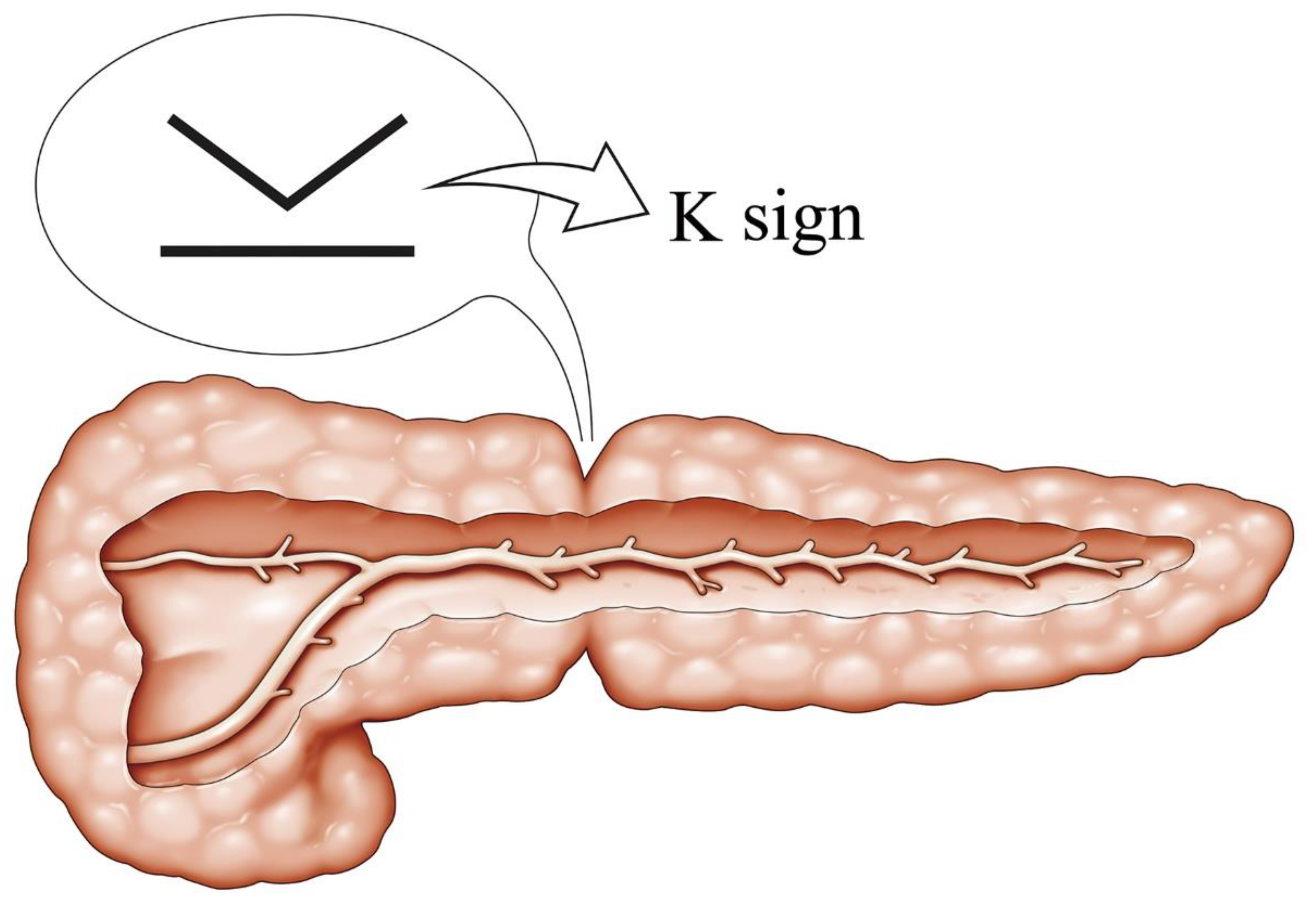 Cancers 13 04222 g002 Cancers 13 04222 g002