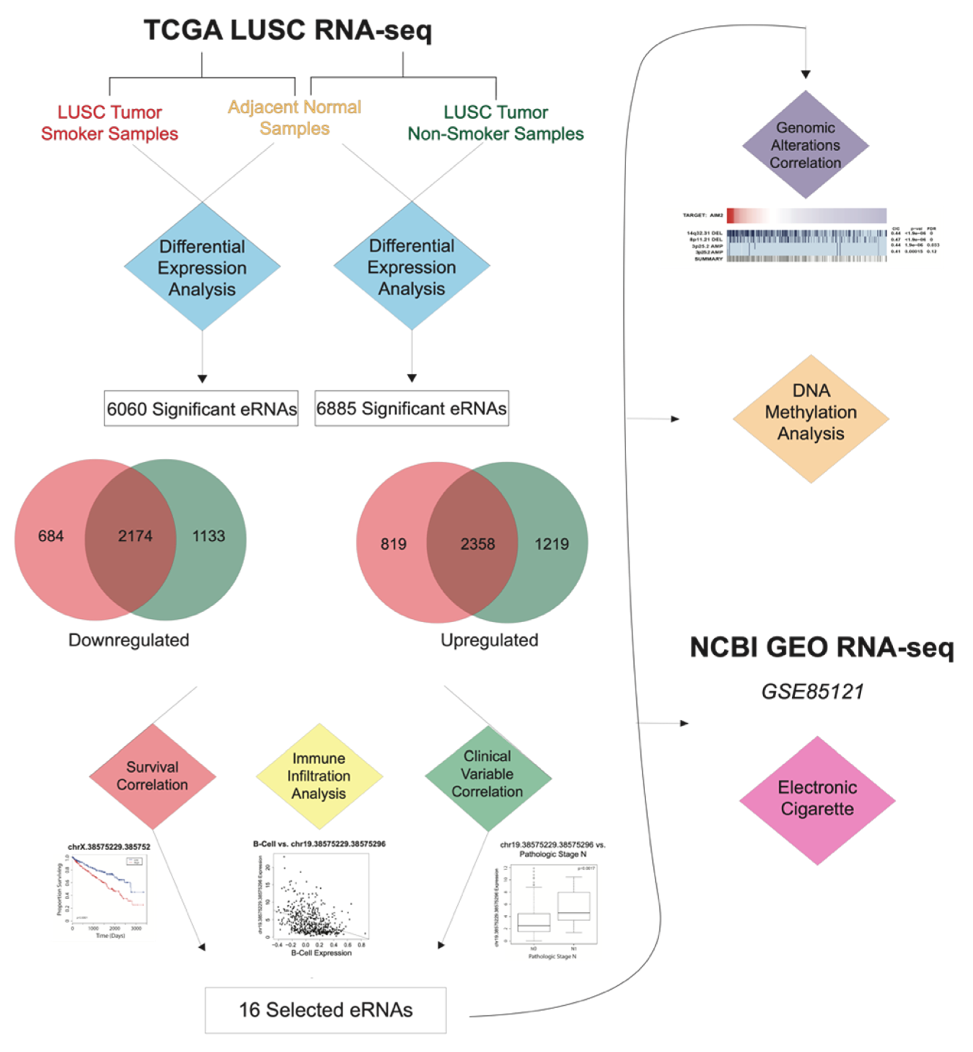 Cancers 13 04225 g001