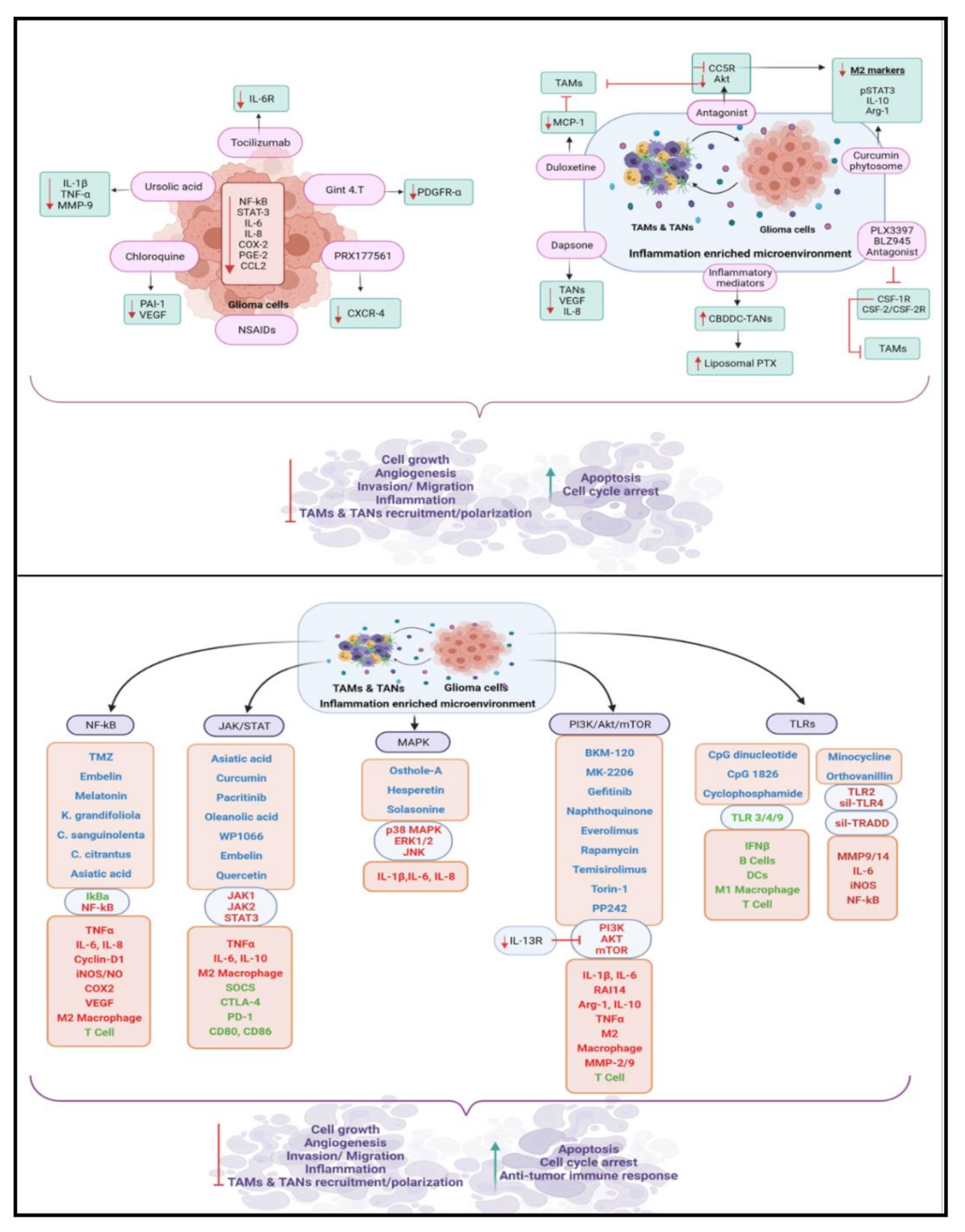 Cancers 13 04226 g003 Cancers 13 04226 g003