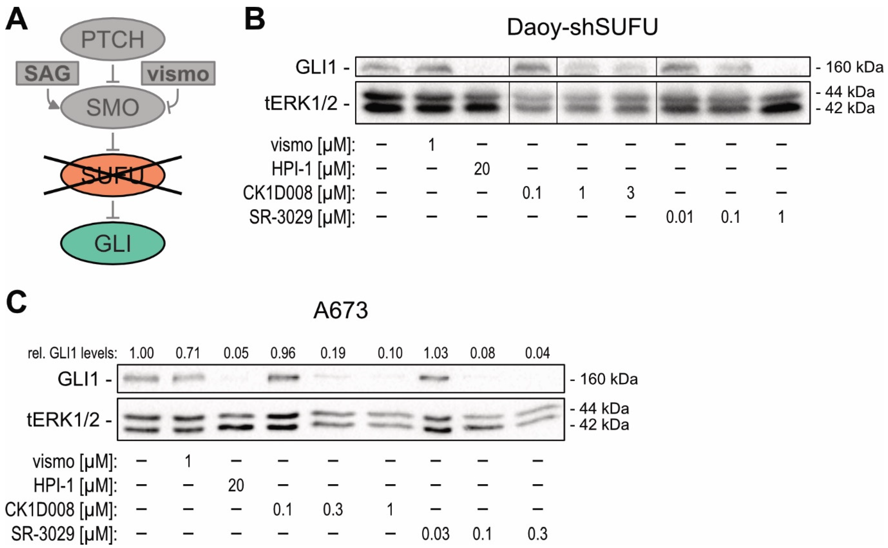 Cancers 13 04227 g004