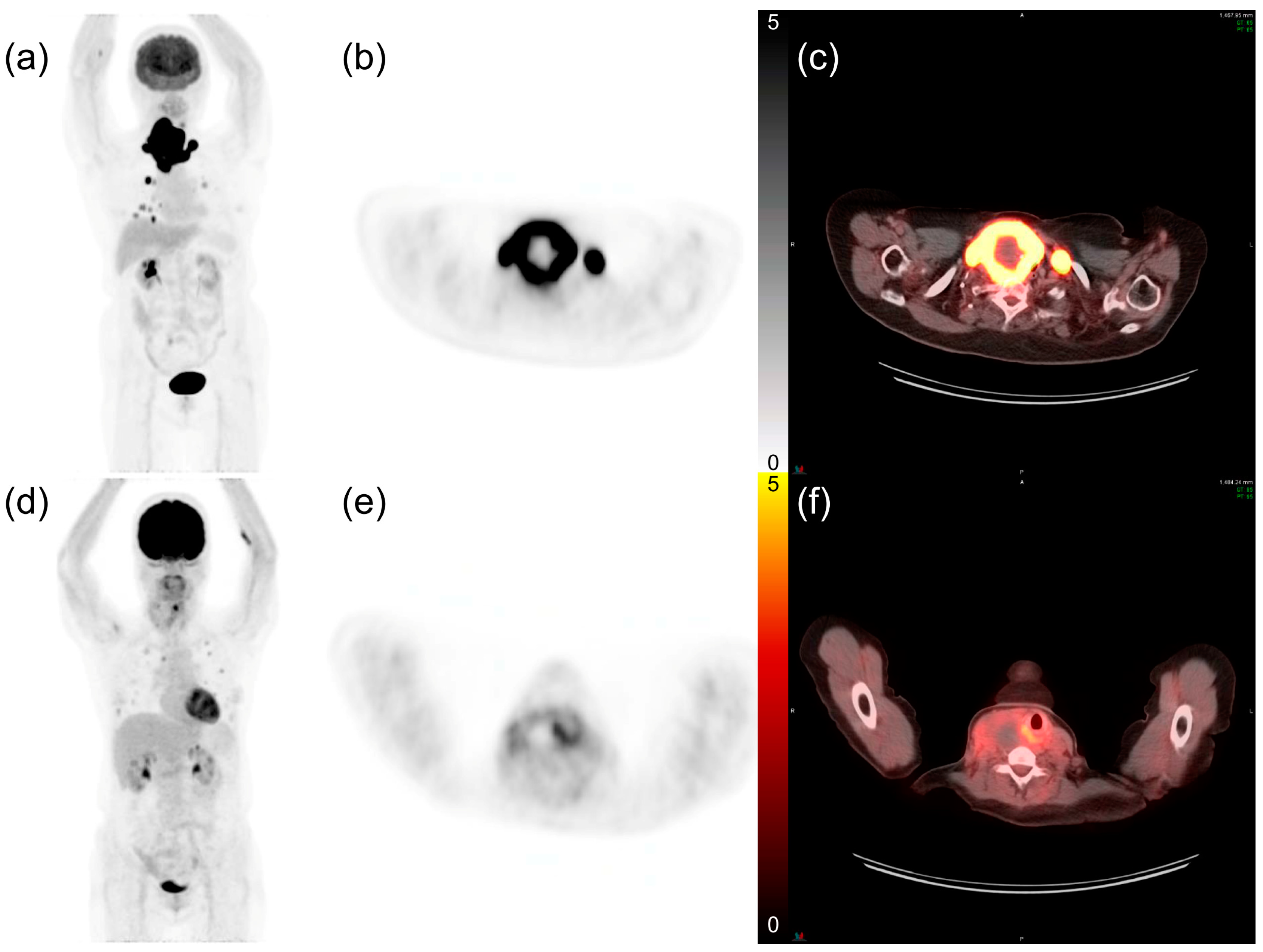 Cancers 13 04228 g001