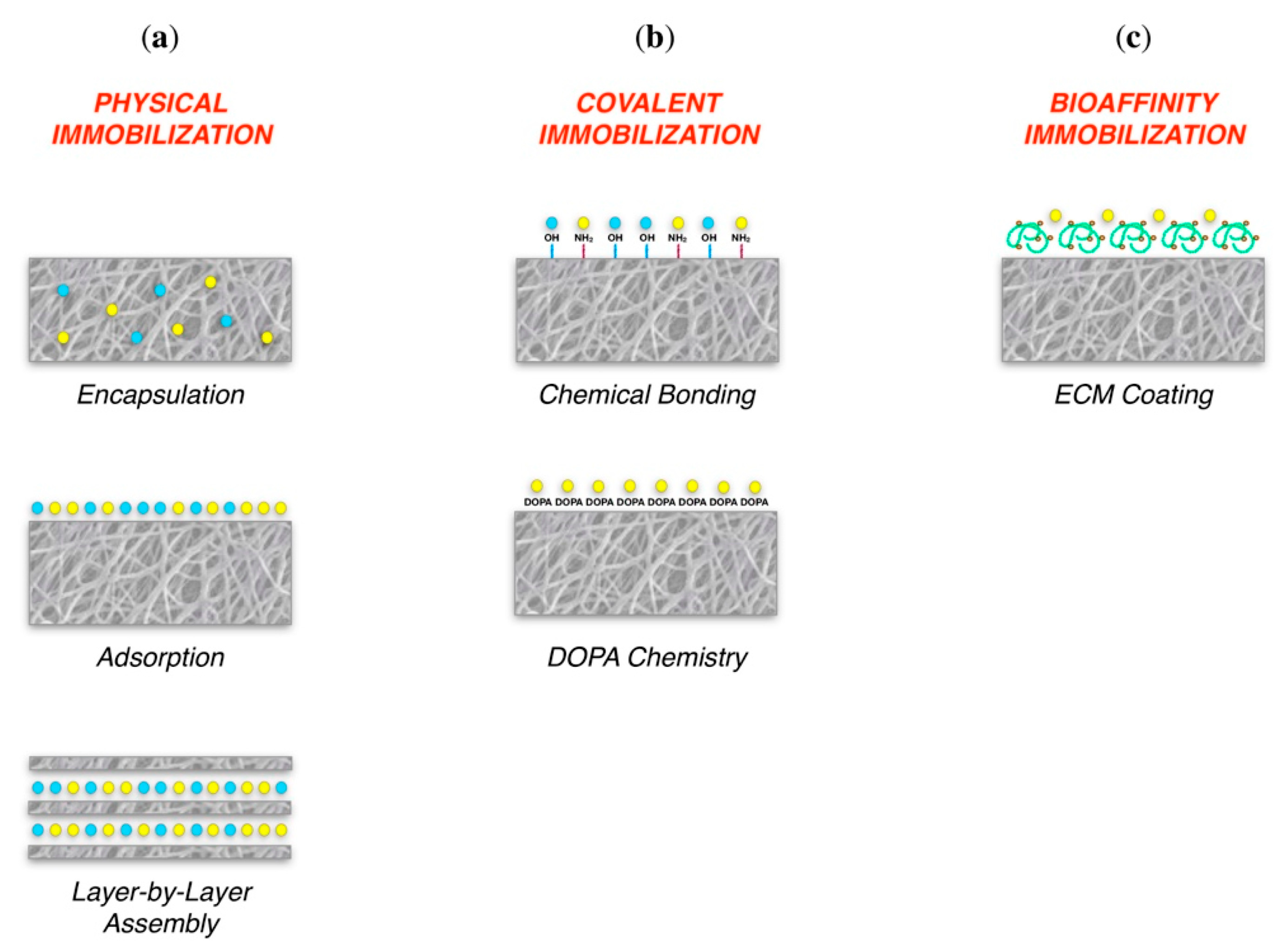 Cancers 13 04229 g006