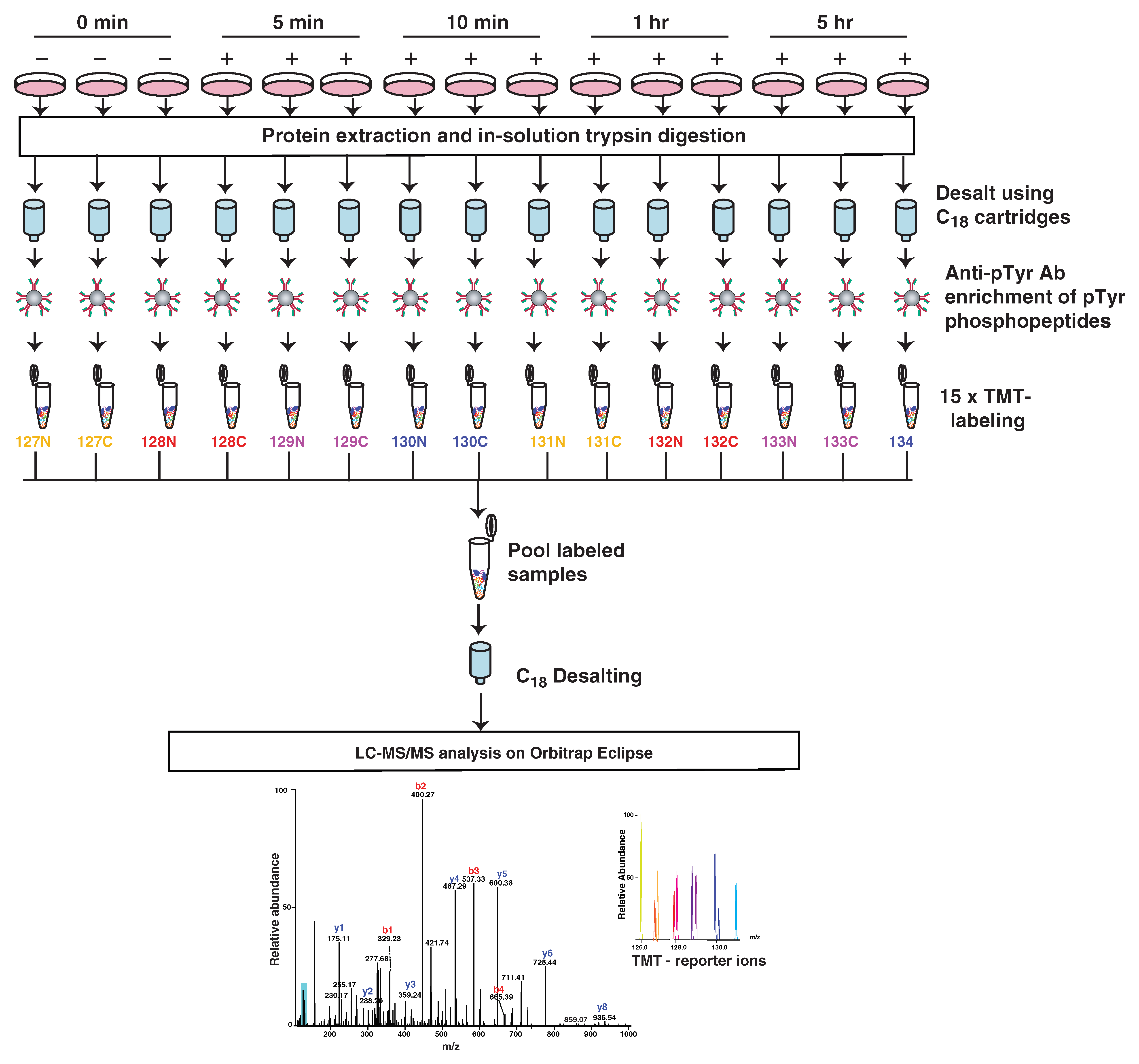 Cancers 13 04234 g002