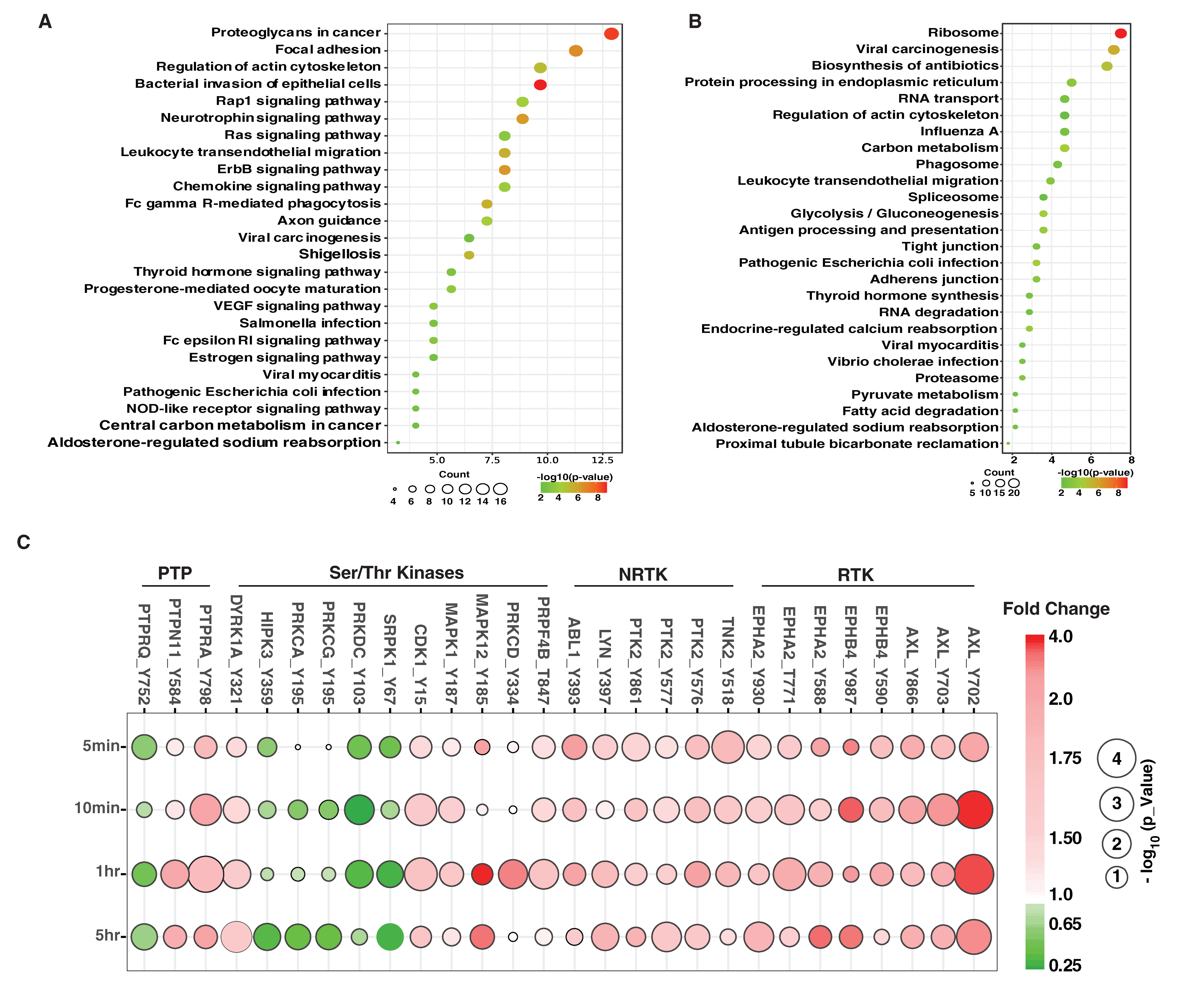 Cancers 13 04234 g004